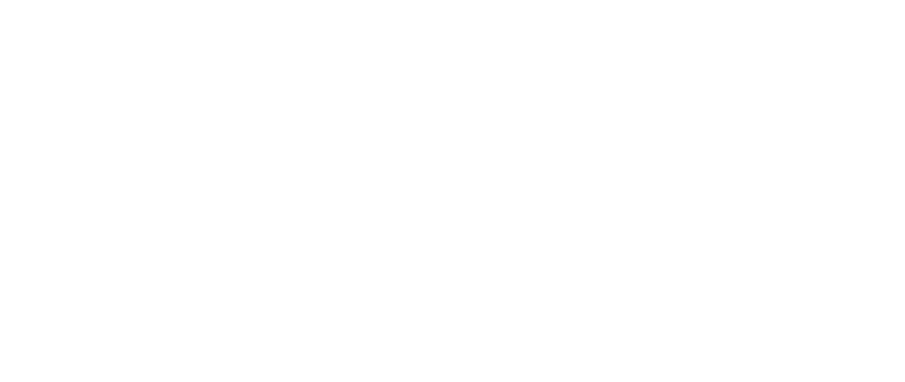 stage edge logo