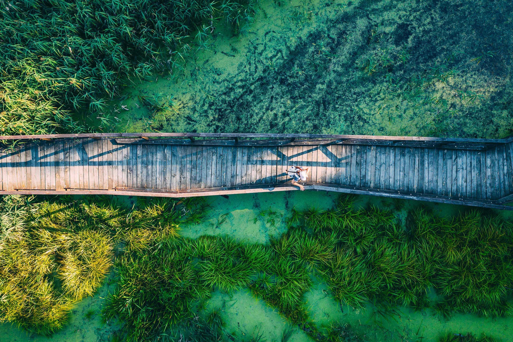 Aerial top view of woman traveller on wooden bridge pathway over marshy river with vegetation thickets, summer travel concept.