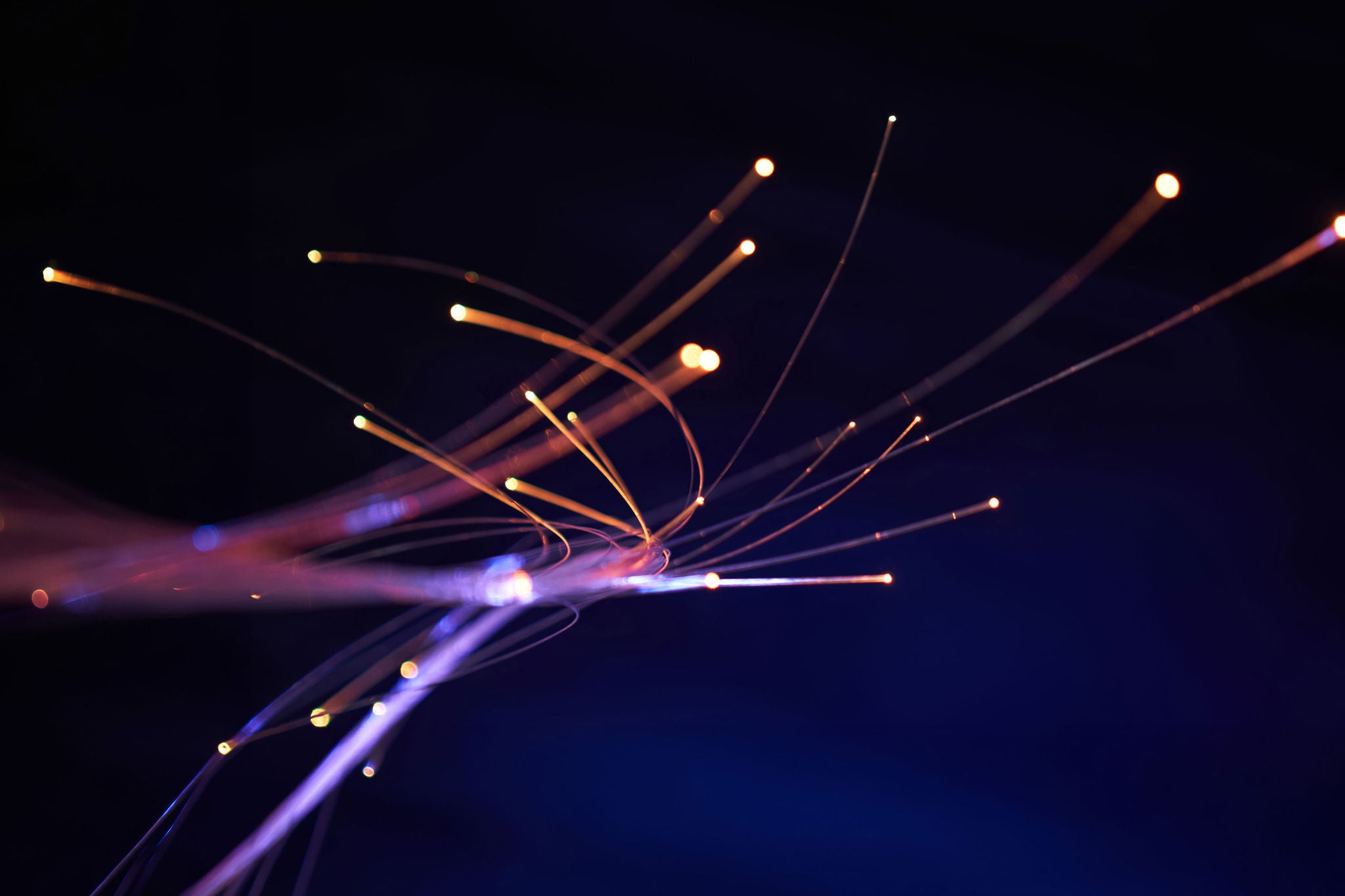 Fiber optic strands with soft neon lights on deep black background.