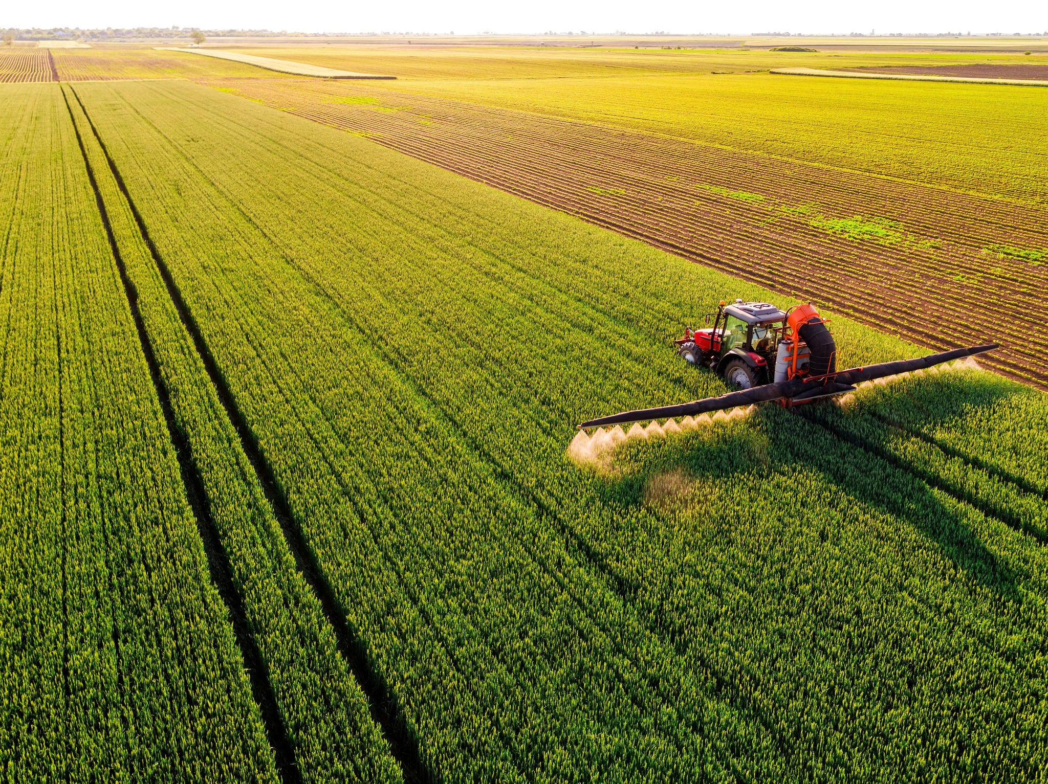 Geopolítica influencia muito o agro e está entre principais riscos do setor, diz estudo da EY