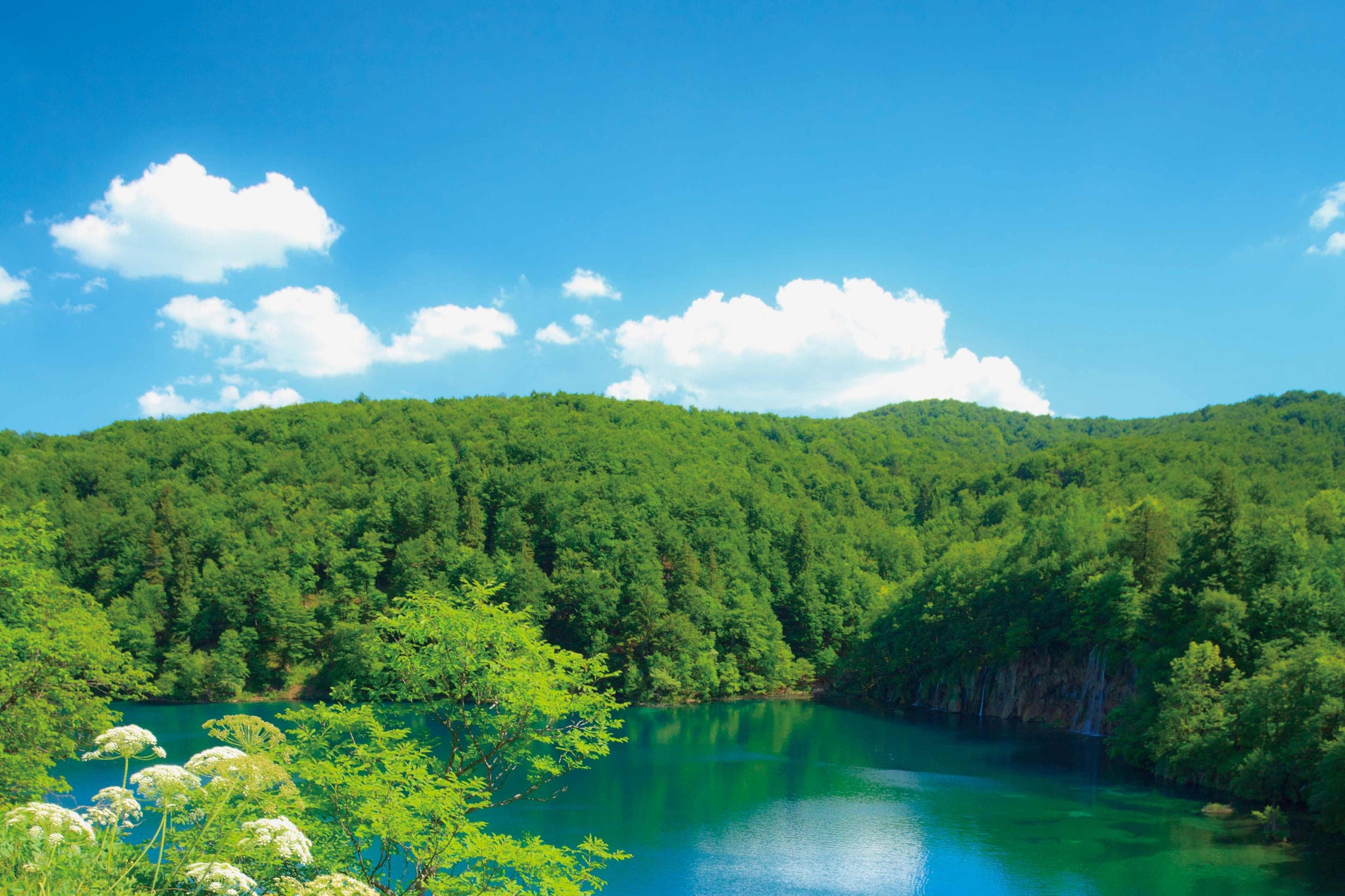 ey-japan-info-sensor.