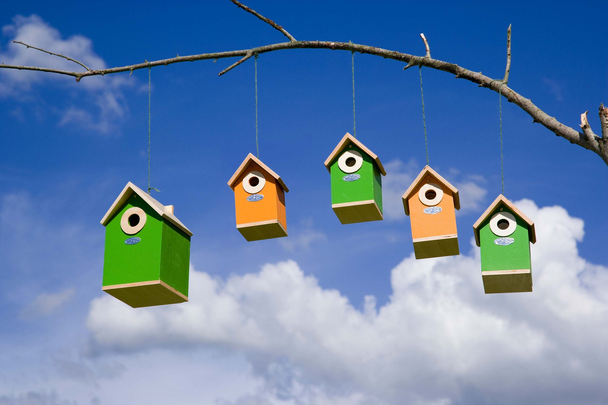 新リース会計基準 –概要及び実務への影響–