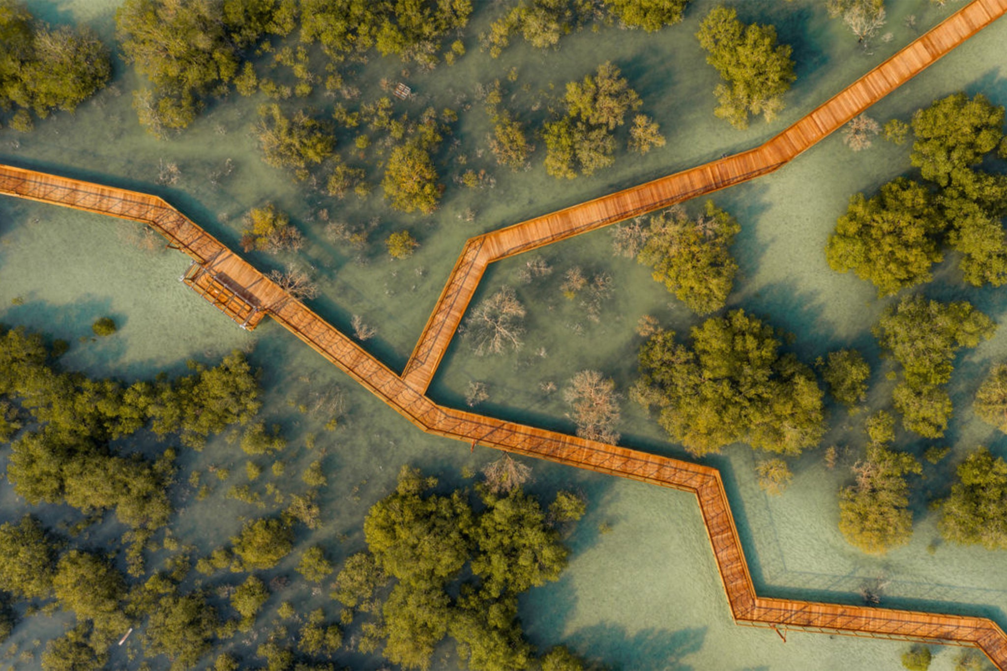  Latest changes to legislation in December 2024