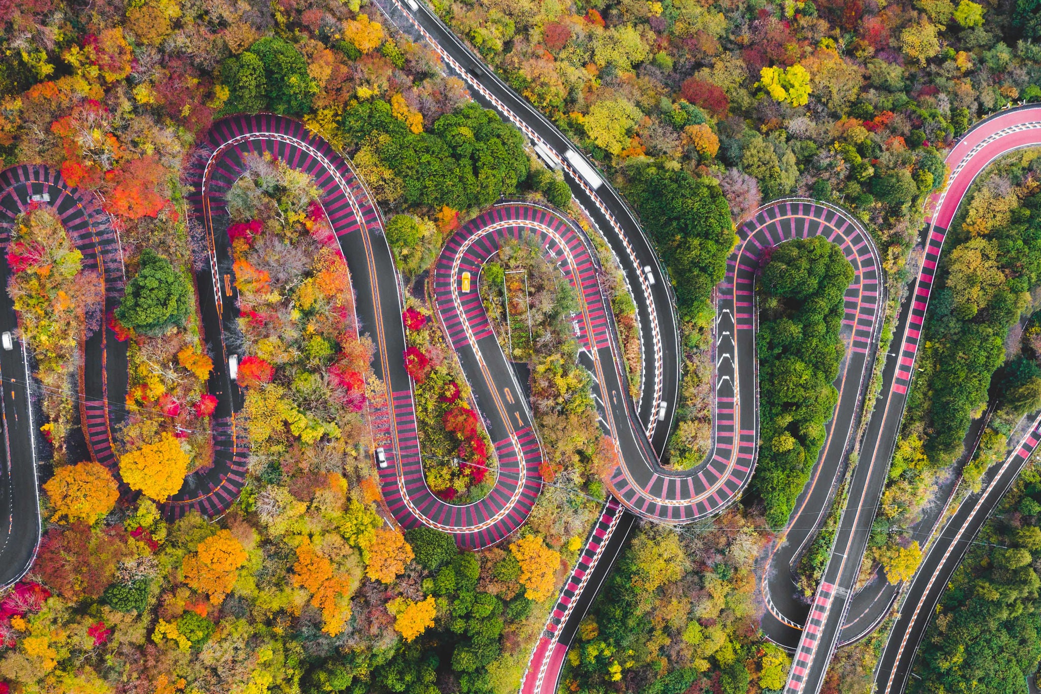 Aerial view of a winding mountain road surrounded by colorful autumn forest.