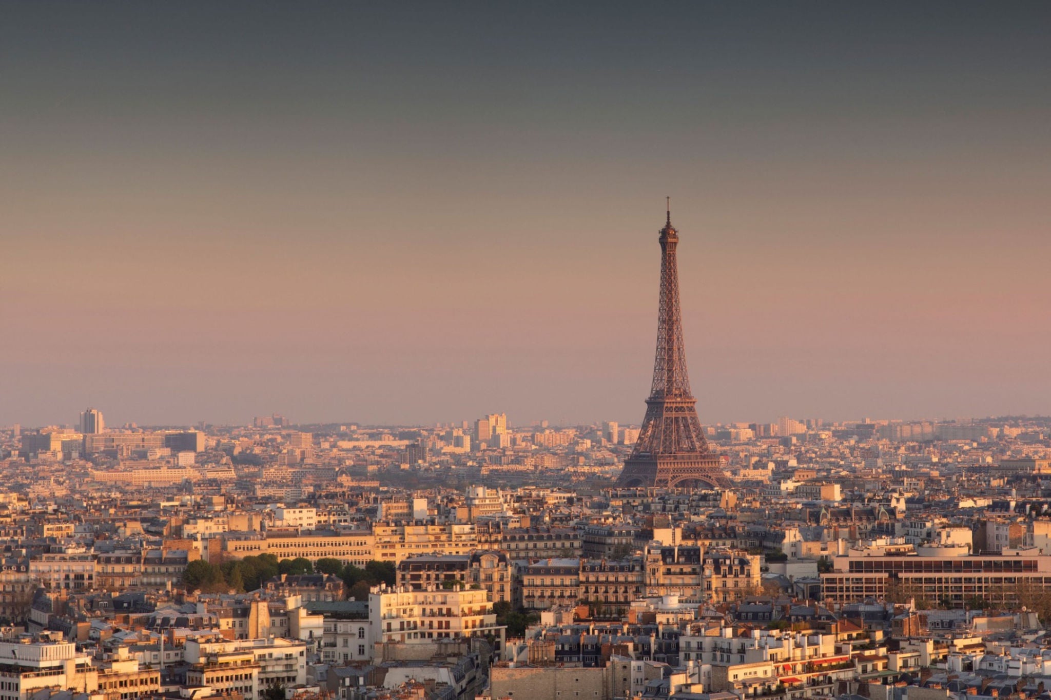 View of Paris with the Eiffel Tower 