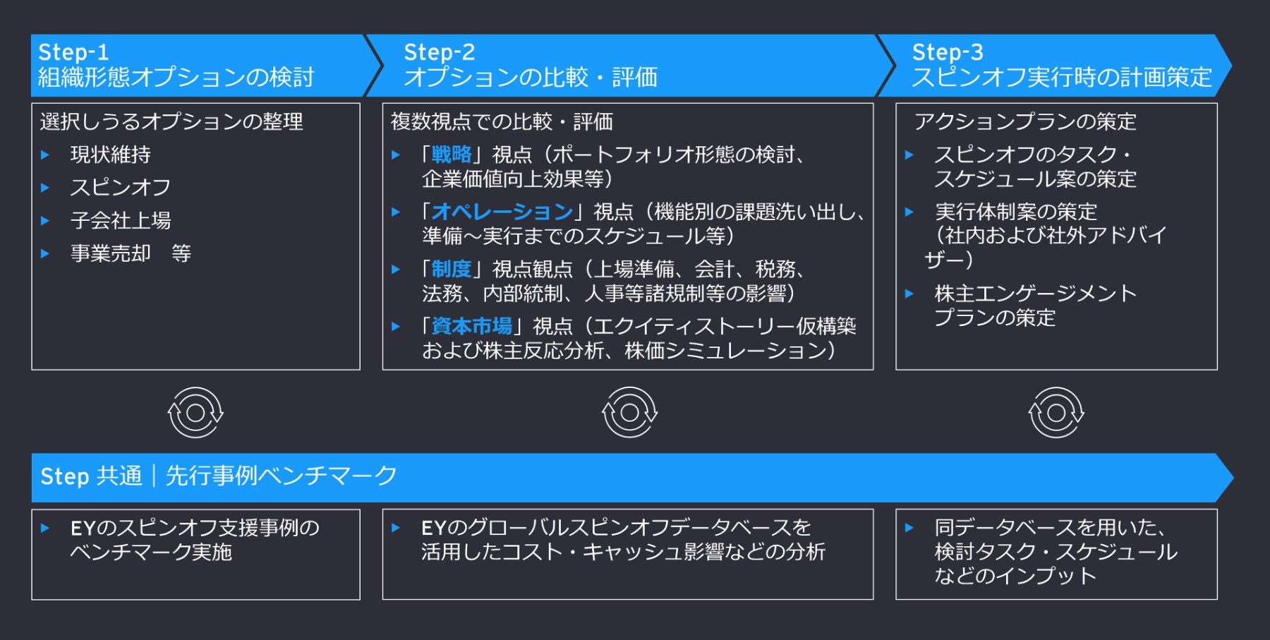 「スピンオフは真の企業価値向上につながるか？」について診断を実施の上、アクションプラン策定を支援