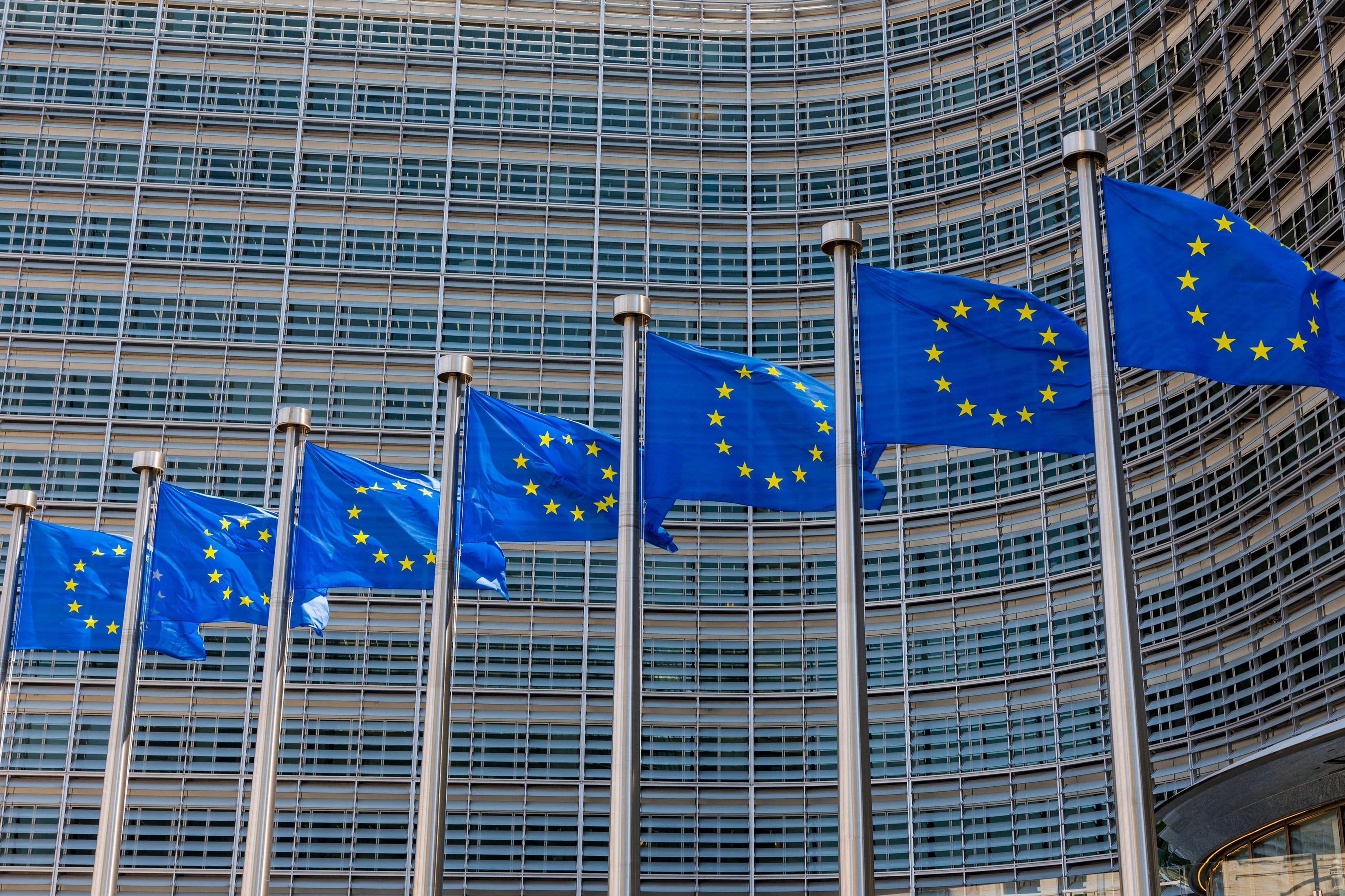 Why companies must prepare for the EU AI Act EY Global