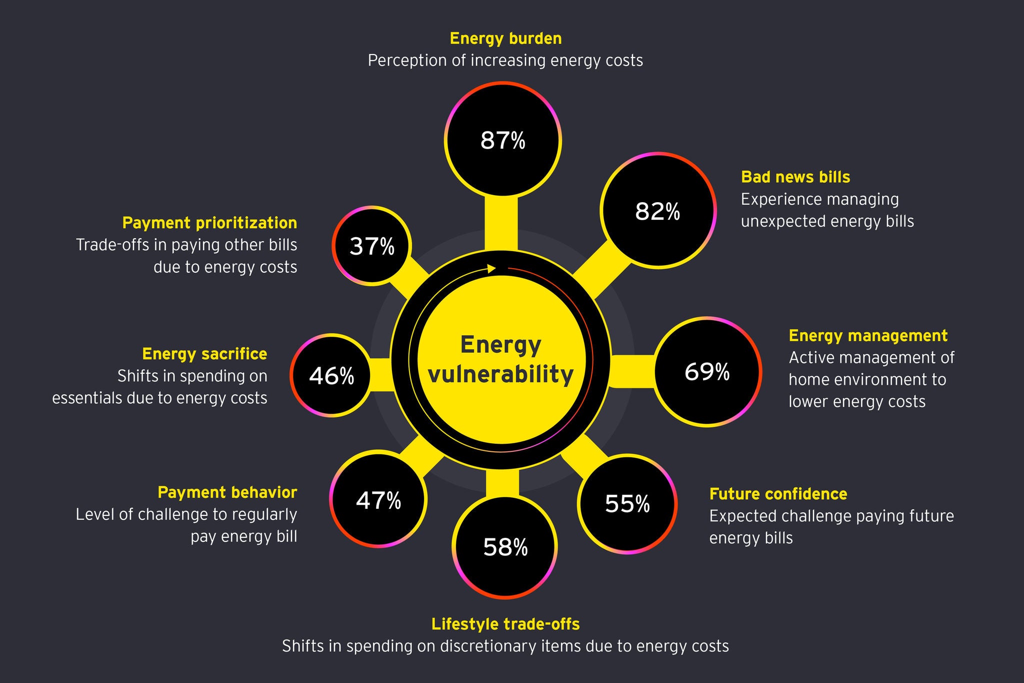 Graphic showing the drivers of energy vulnerability among consumers
