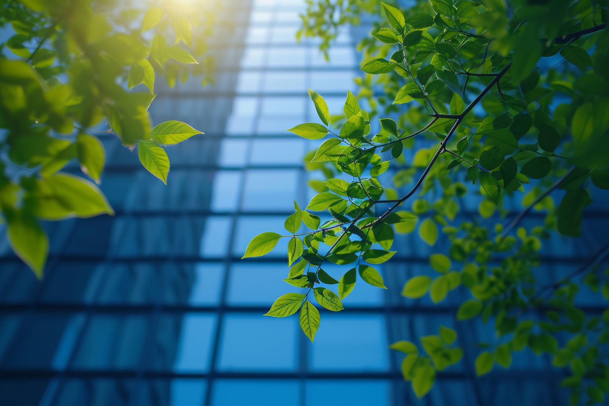 VSME: Zjednodušený reporting ESG pro malé a střední podniky