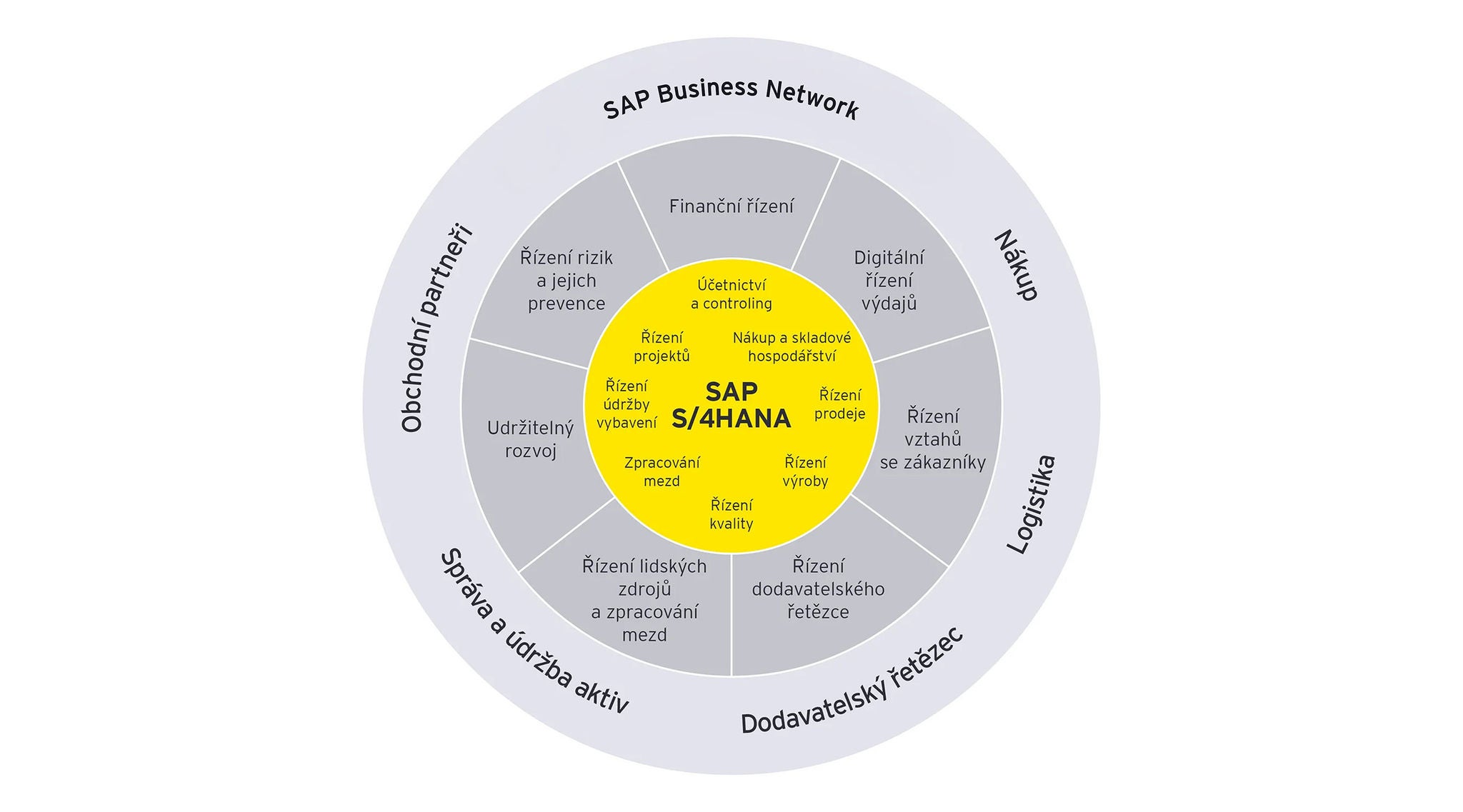 Ey Sap Hero Image