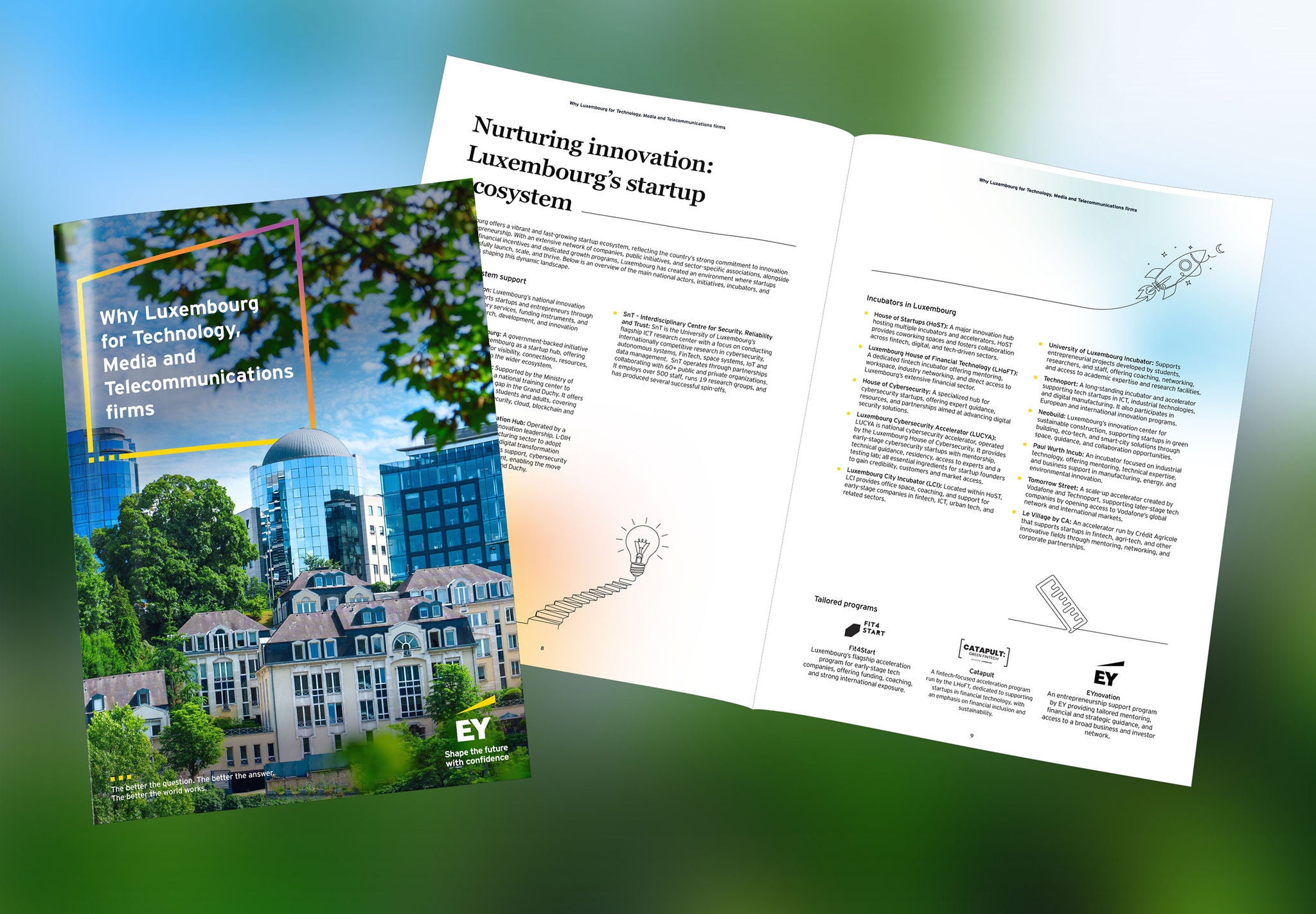 Why Luxembourg for TMT firms