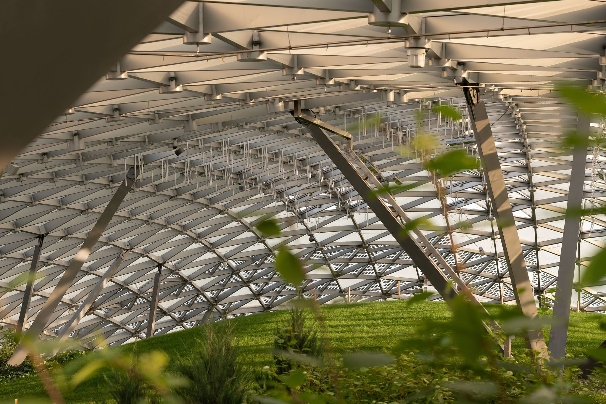 Curved glass and steel structure surrounded by greenery