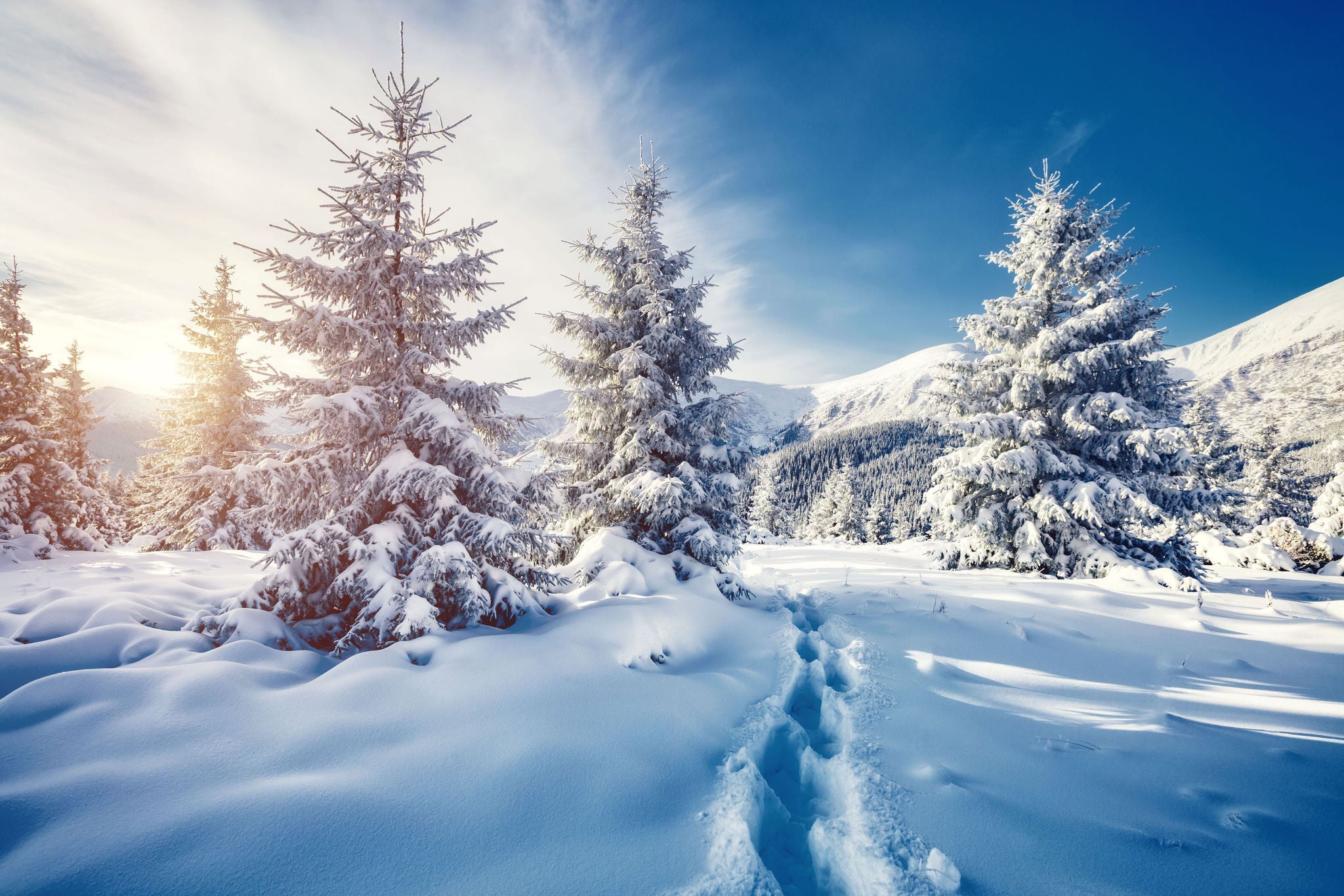  Webcast Operational Tax Quarterly