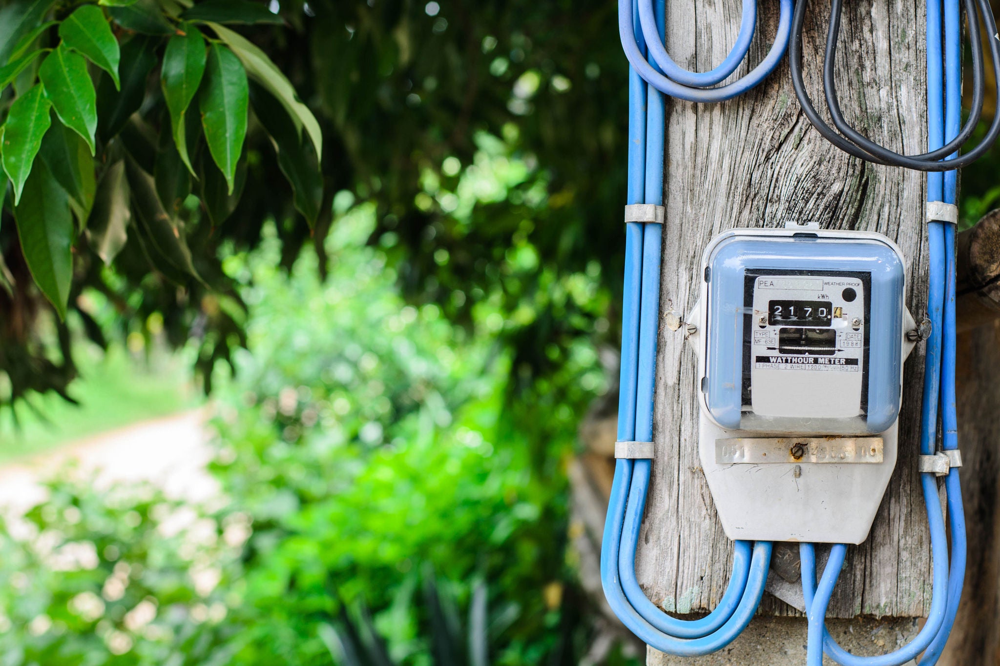 An electricity meter with blue cables mounted to a wooden pole