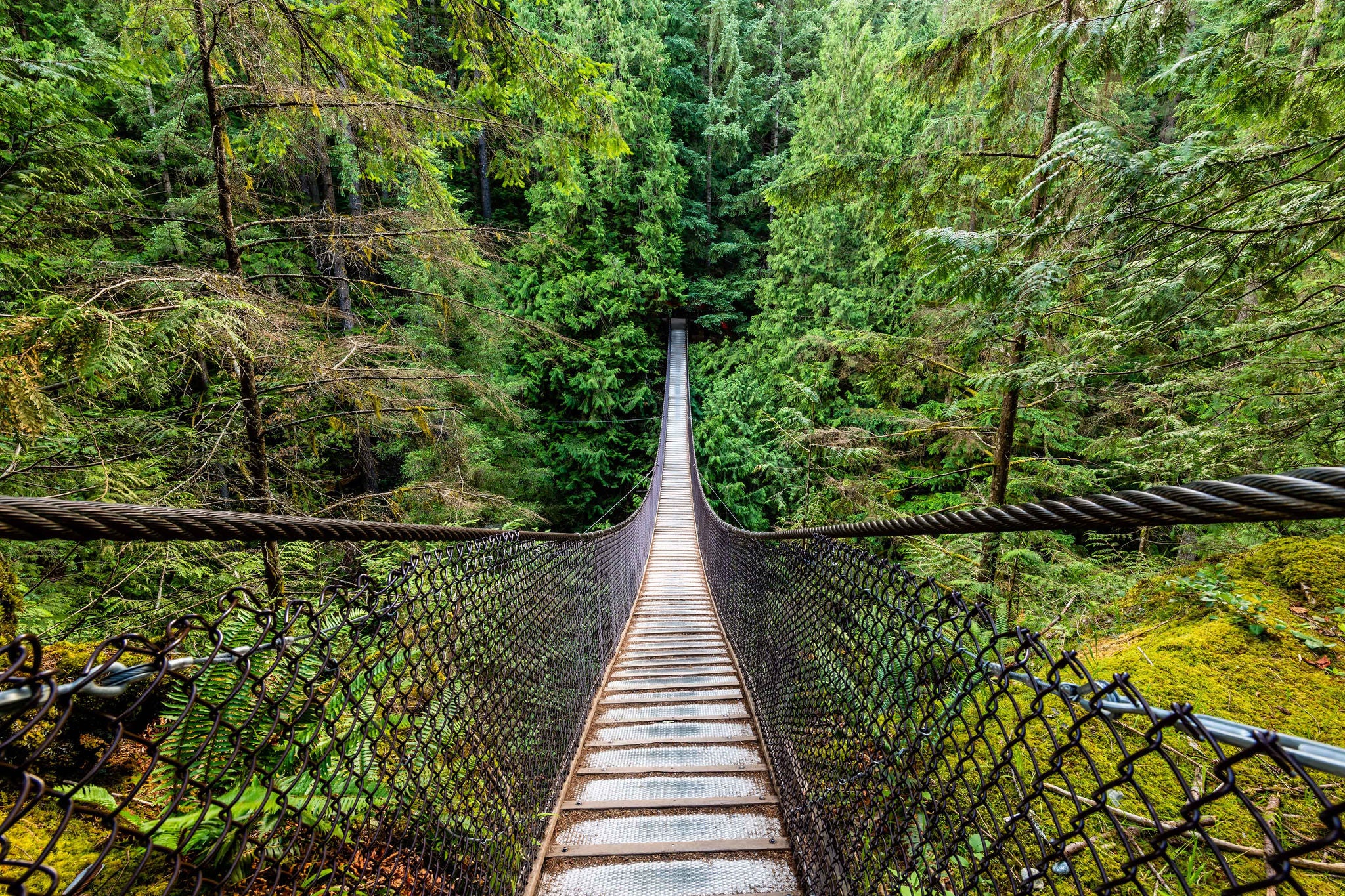 Lynn Canyon Suspension Bridge