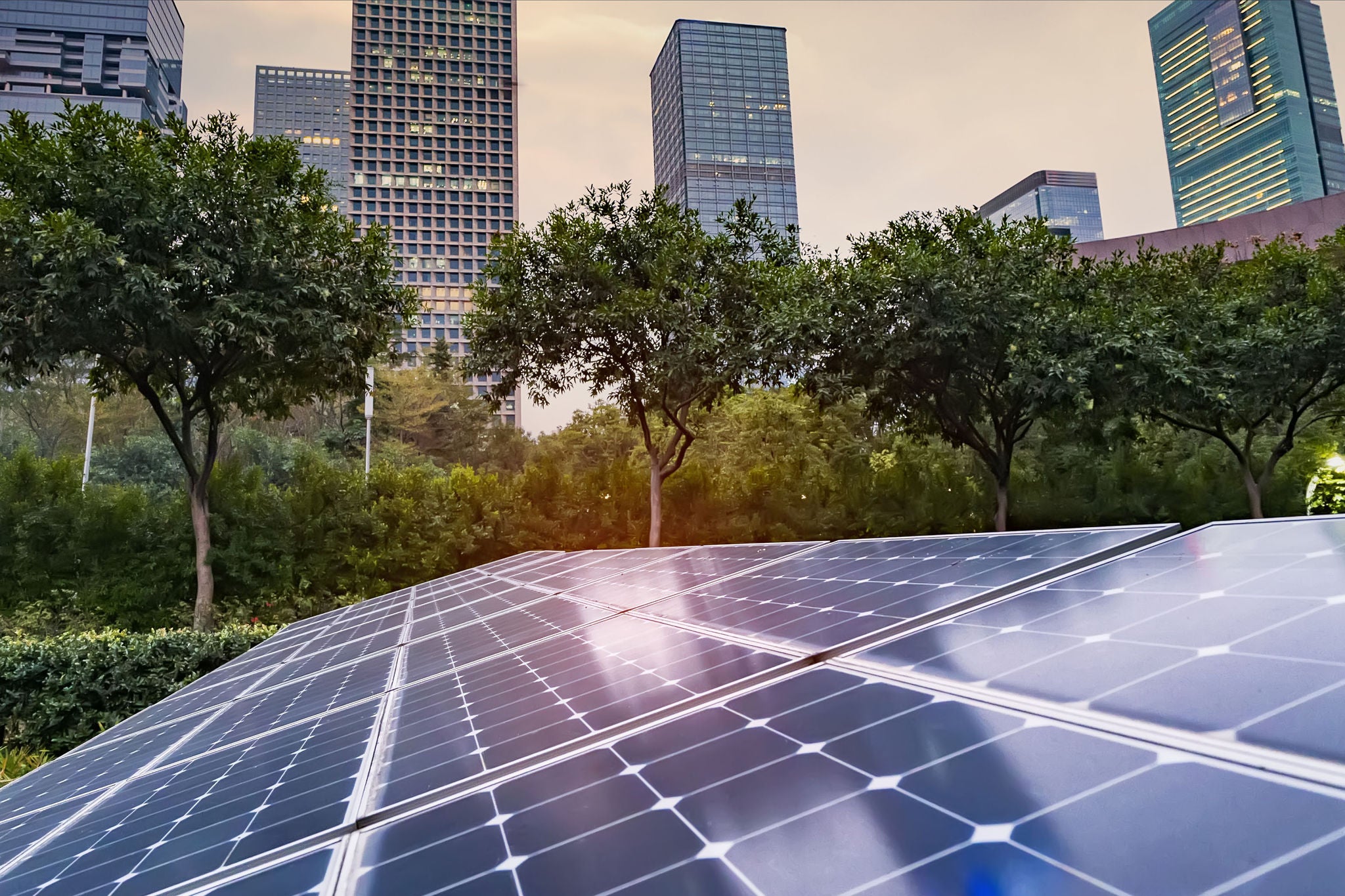 EY - Solar panels in urban park setting