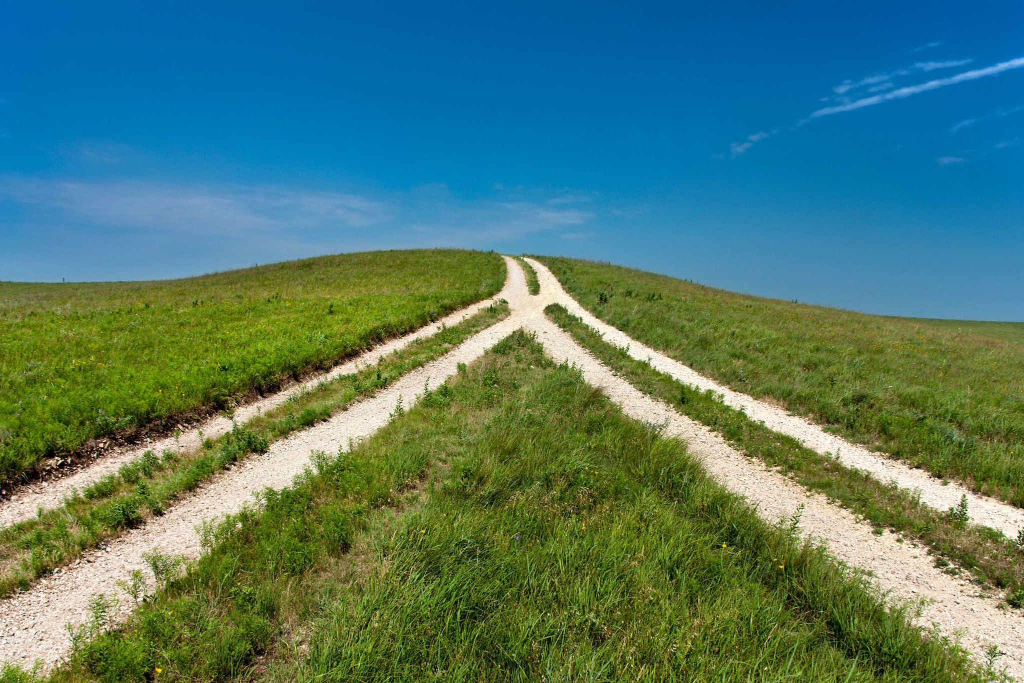 Converging paths on grassy hillside