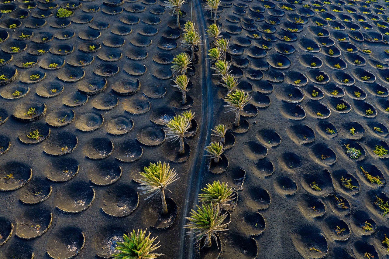 la-geria-wine-fields-lanzarote-canary-islands-spain