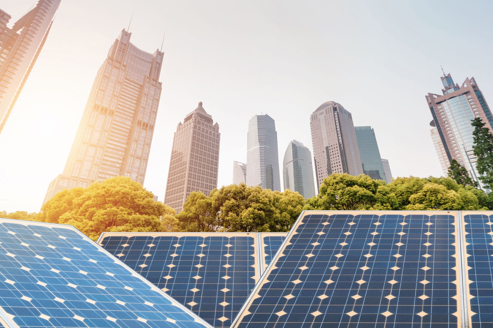 Fotografía de paneles solares en primer plano con árboles y edificios en el fondo.