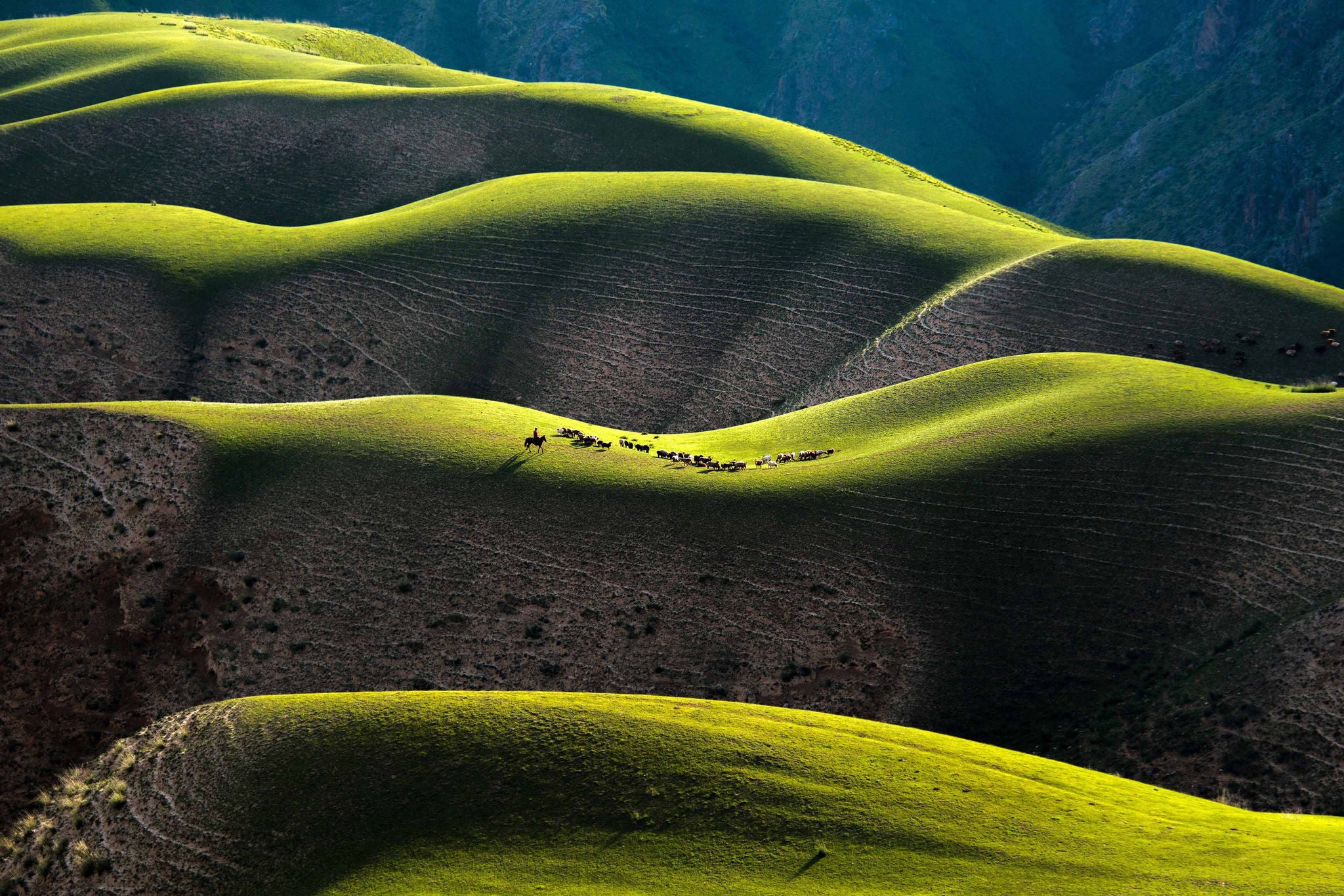 Aerial view of gently rolling green hills illuminated by soft golden-hour light.