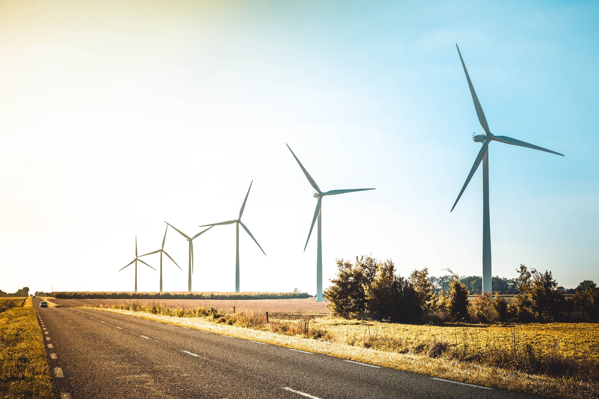 Wind turbines on land by road against Sky
