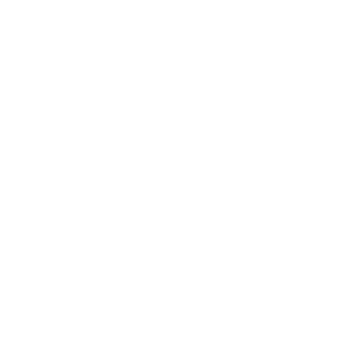 TIC logo