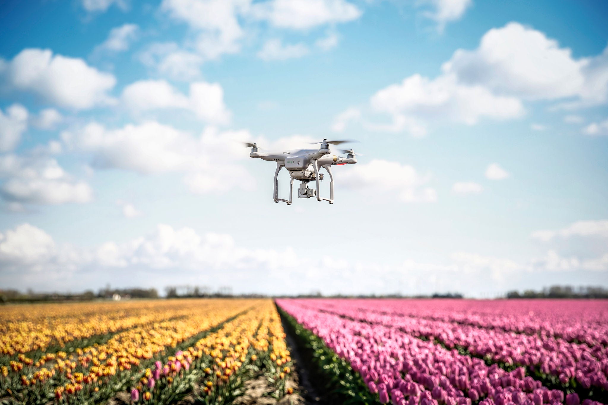 EY Drone flying in flower garden lesson two