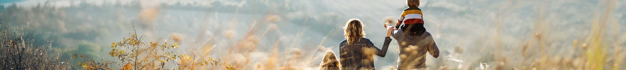 EY Social Insurance and Labor Advisors Corporation