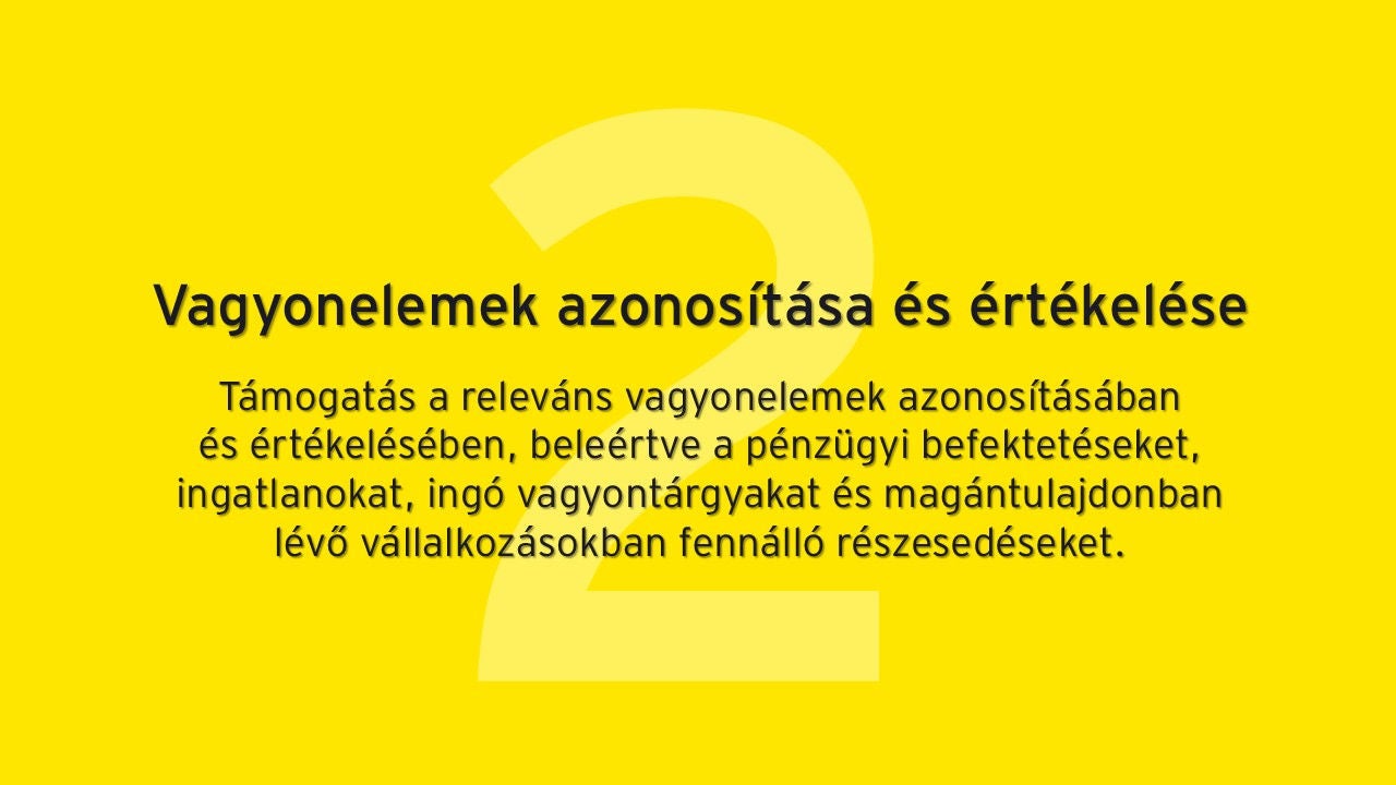 A vagyonadóval kapcsolatos EY-támogatás 2. pillére