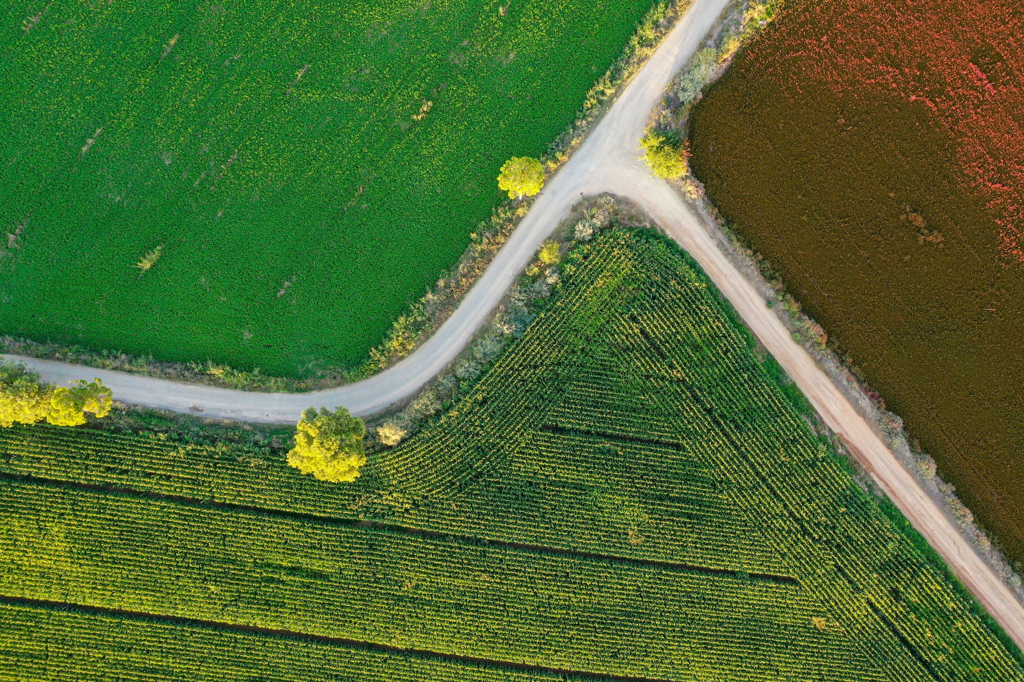 Vue aérienne de routes rurales entre des champs cultivés