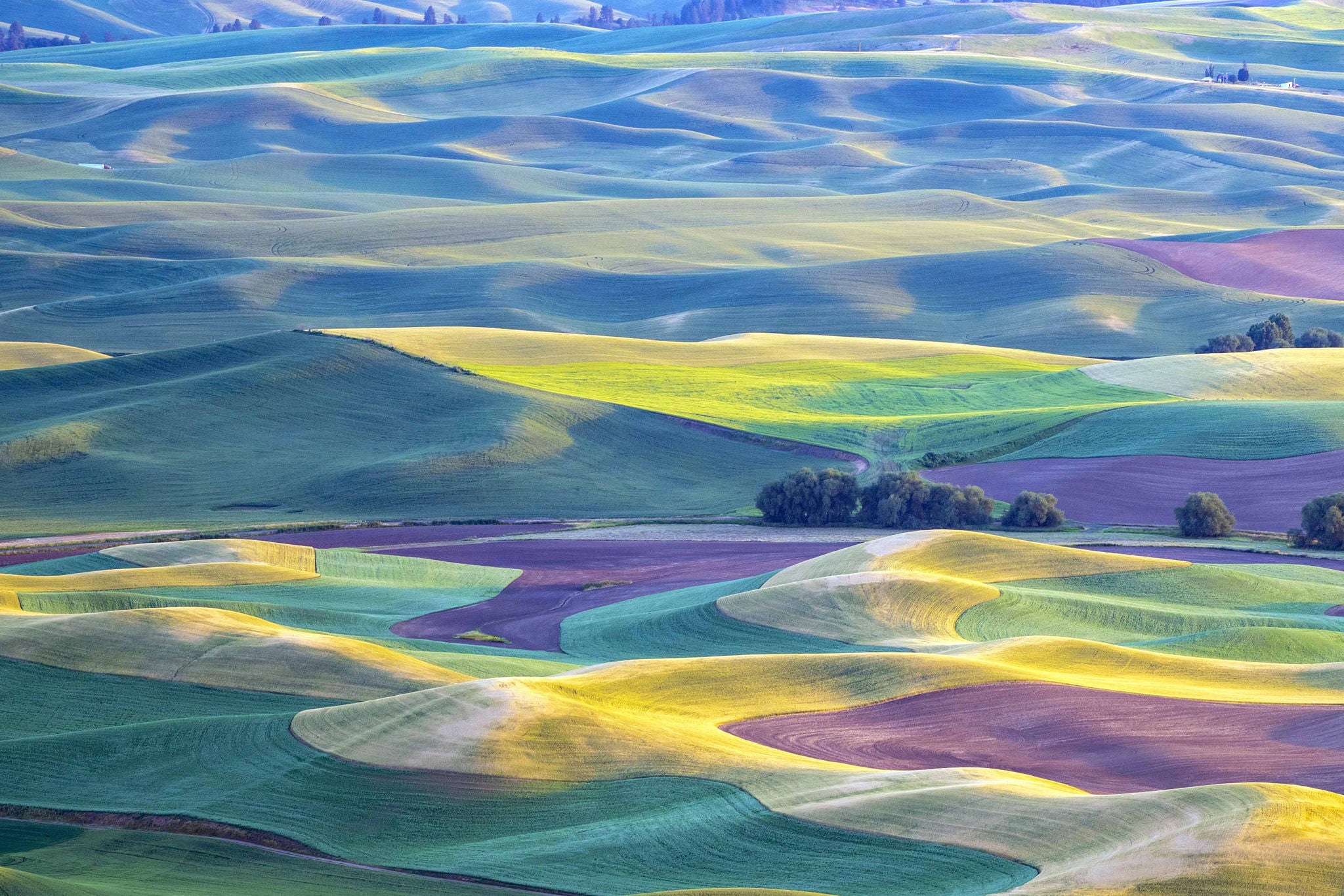 Golden hour sunset aerial view of The Palouse region of Eastern Washington State, as seen from Steptoe Butte State Park, of patchwork style rolling farmland and hills