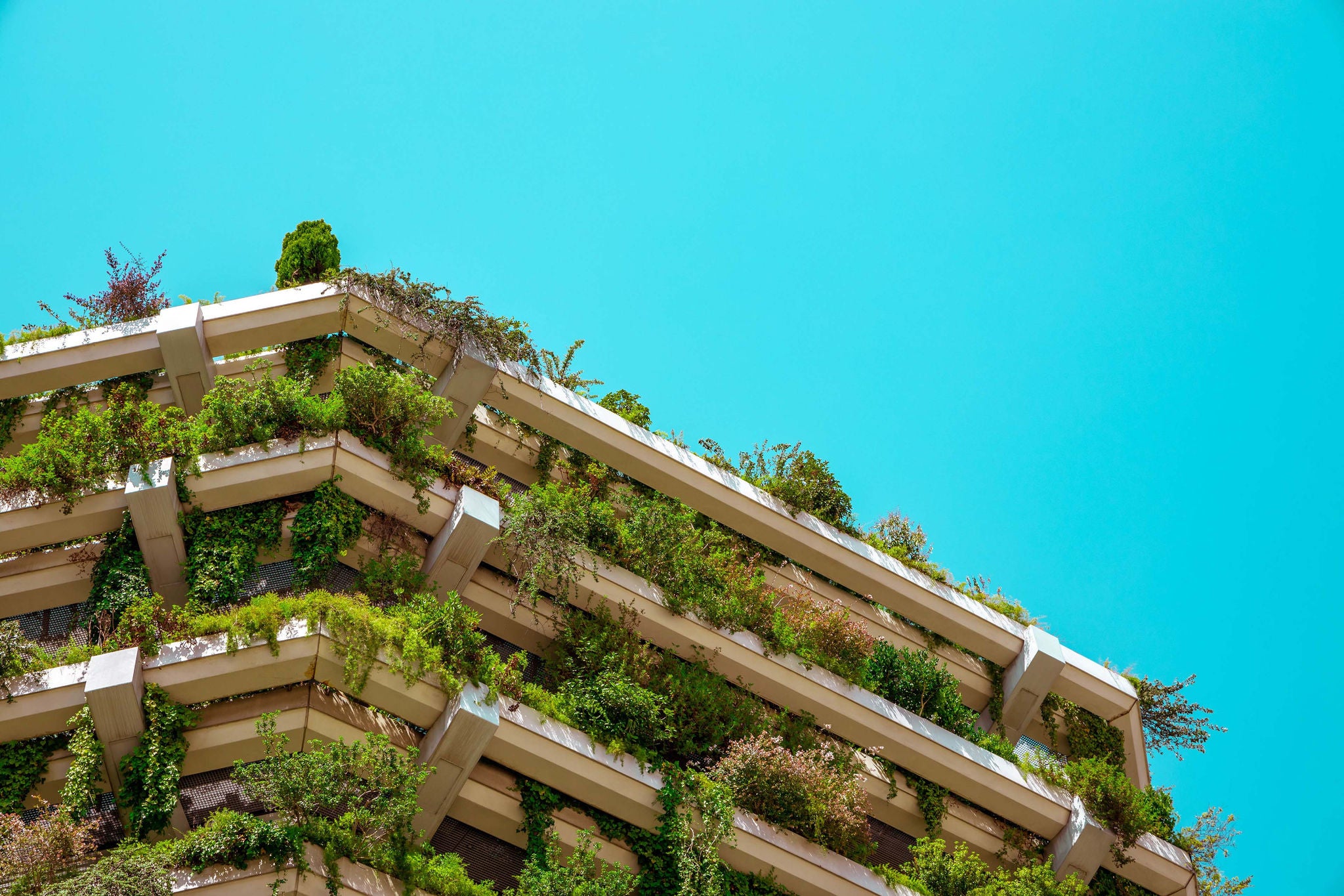 Green building sustainable architecture