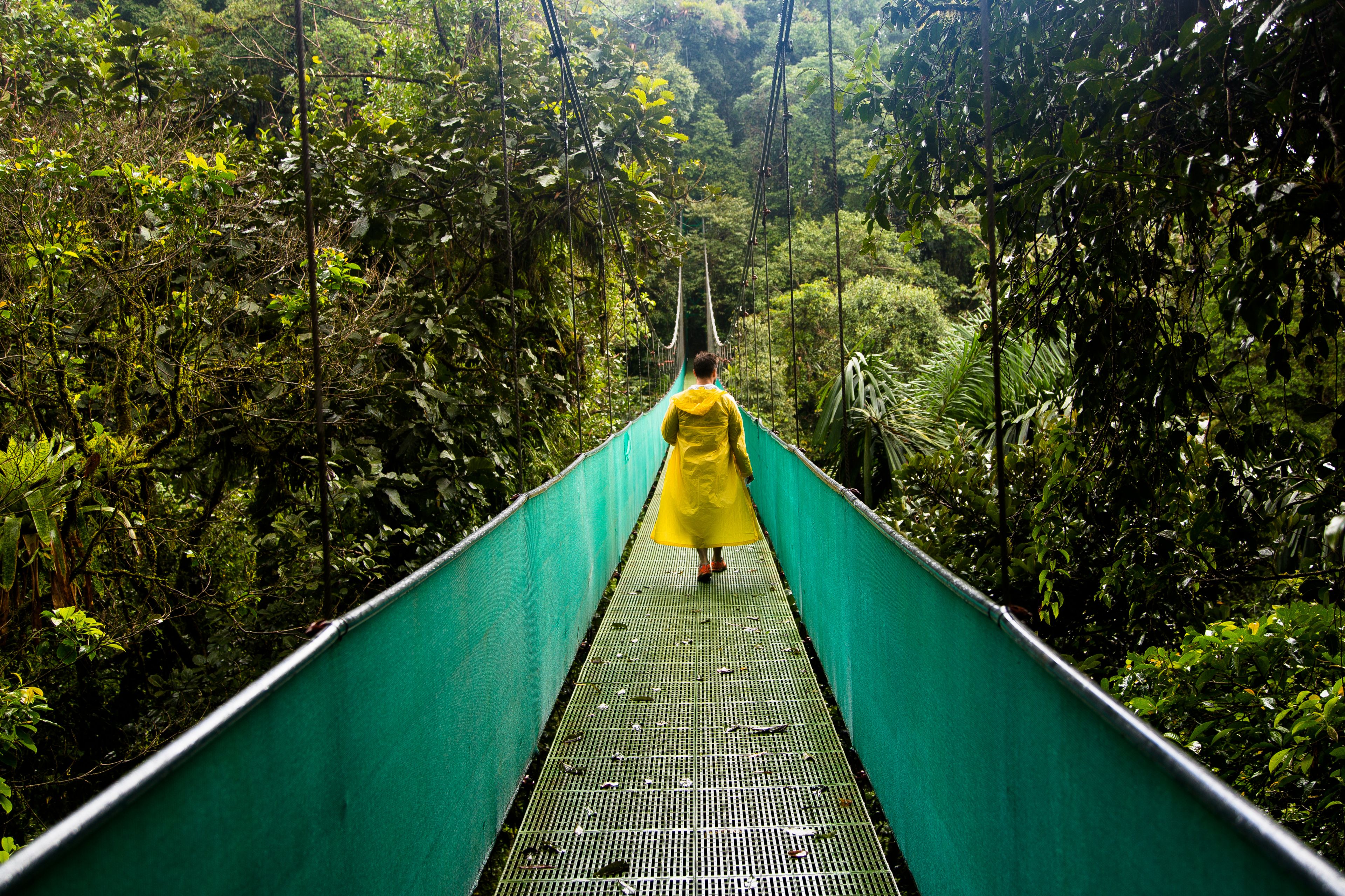 people-walking-on-colorful-ground