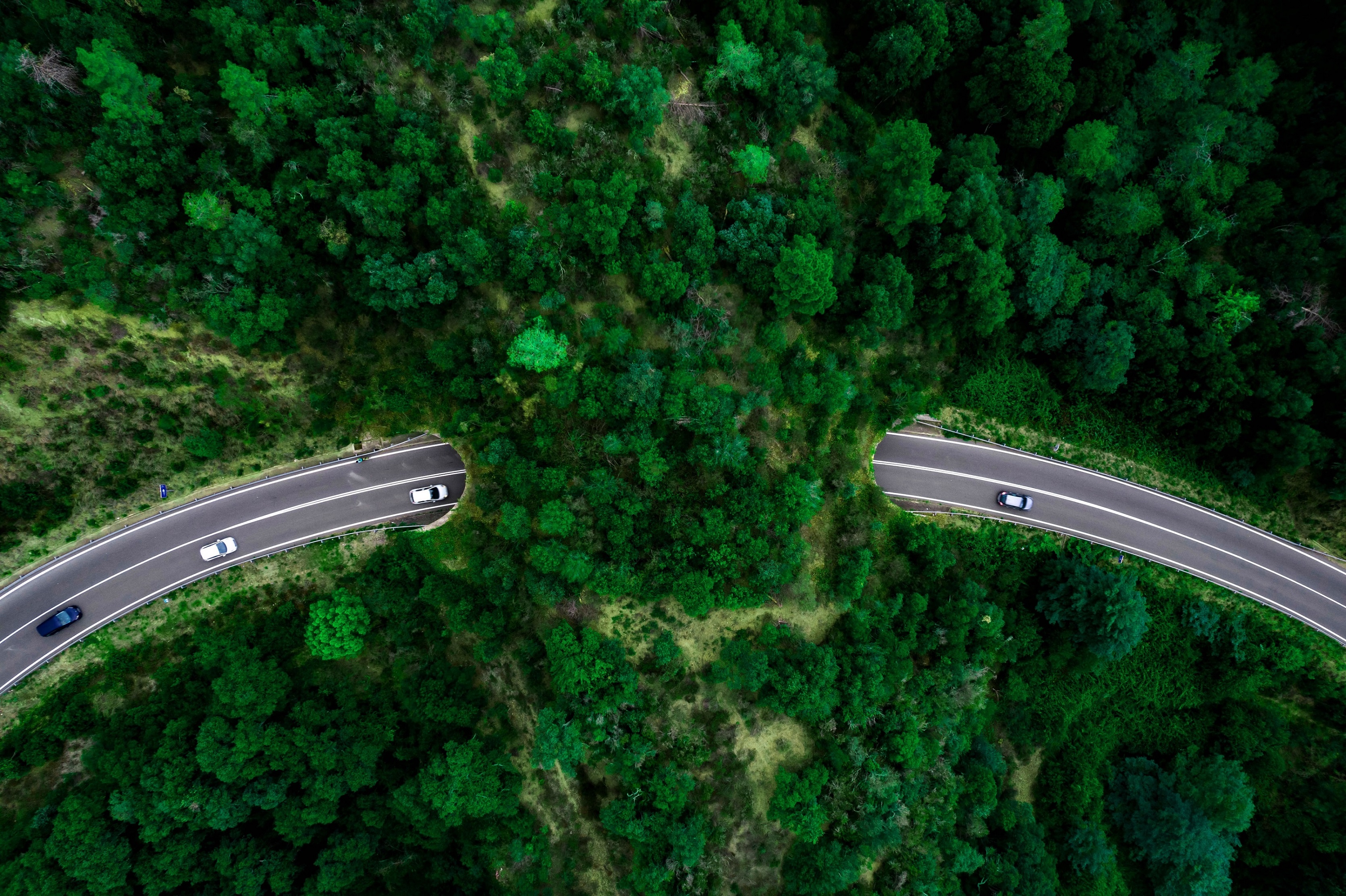 international tax developments august