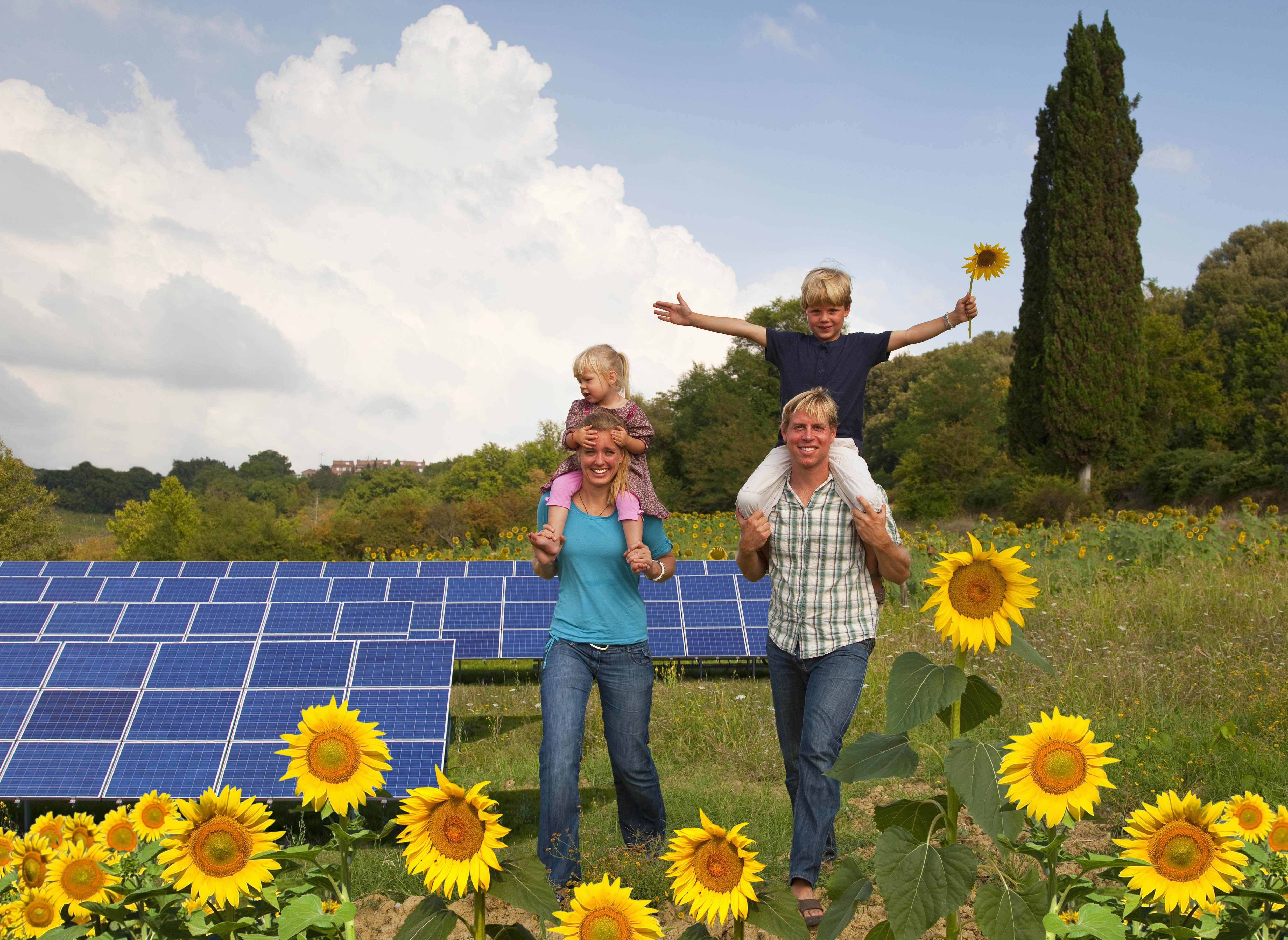 Indsigt i bæredygtighedsrapportering
