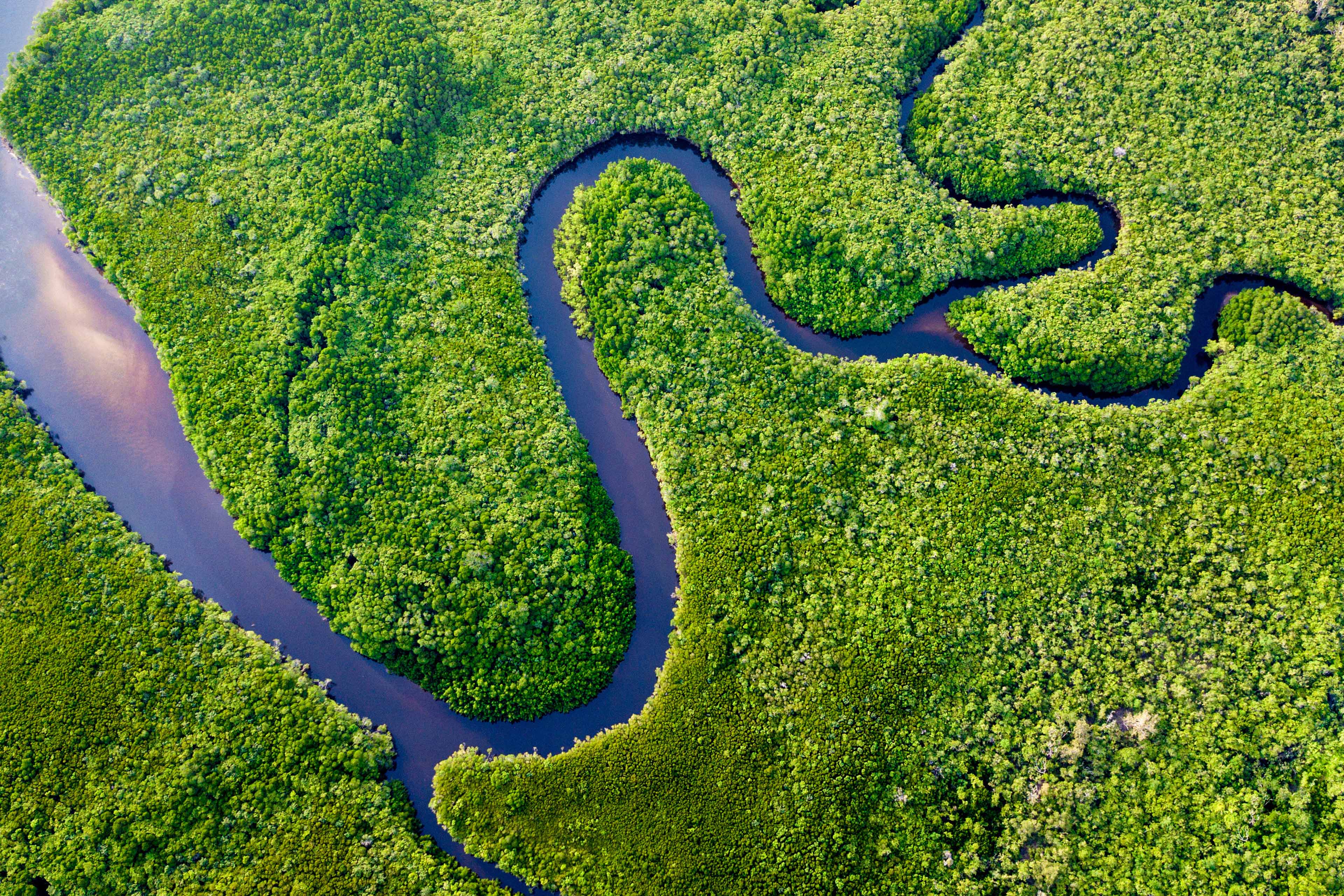 Flod der snor sig igennem grønt område