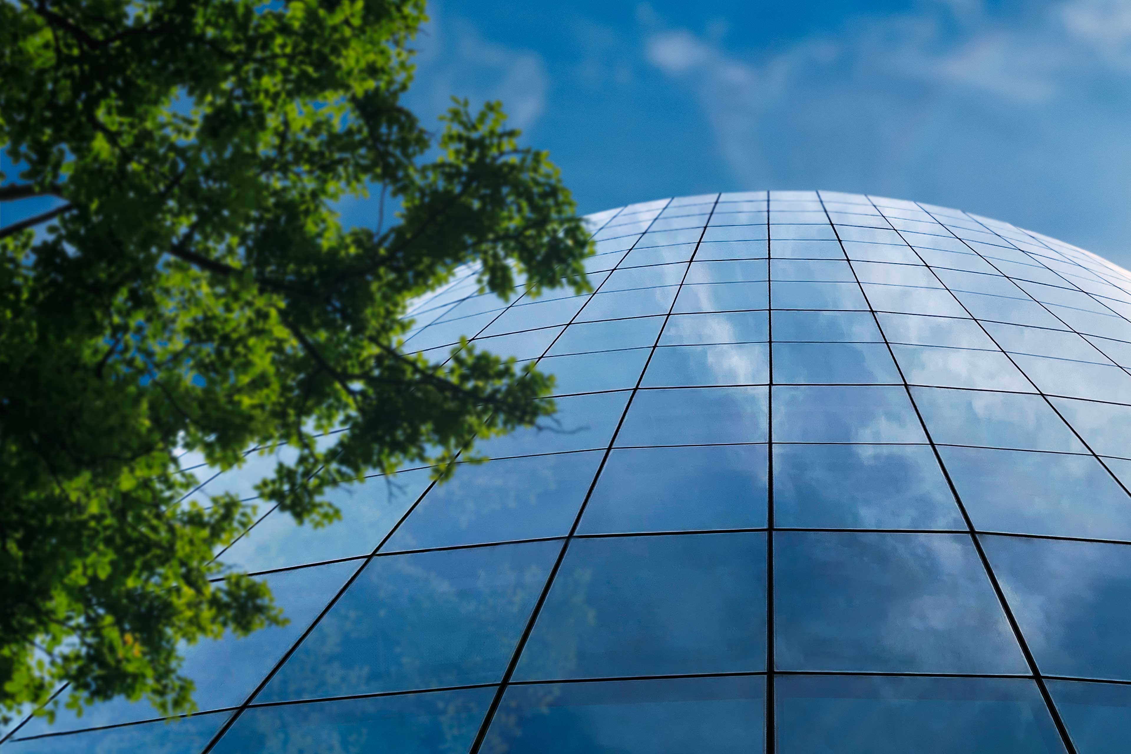 Neues Betrugsbekämpfungsgesetz 2024: Verschärfte Regeln gegen Scheinrechnungen