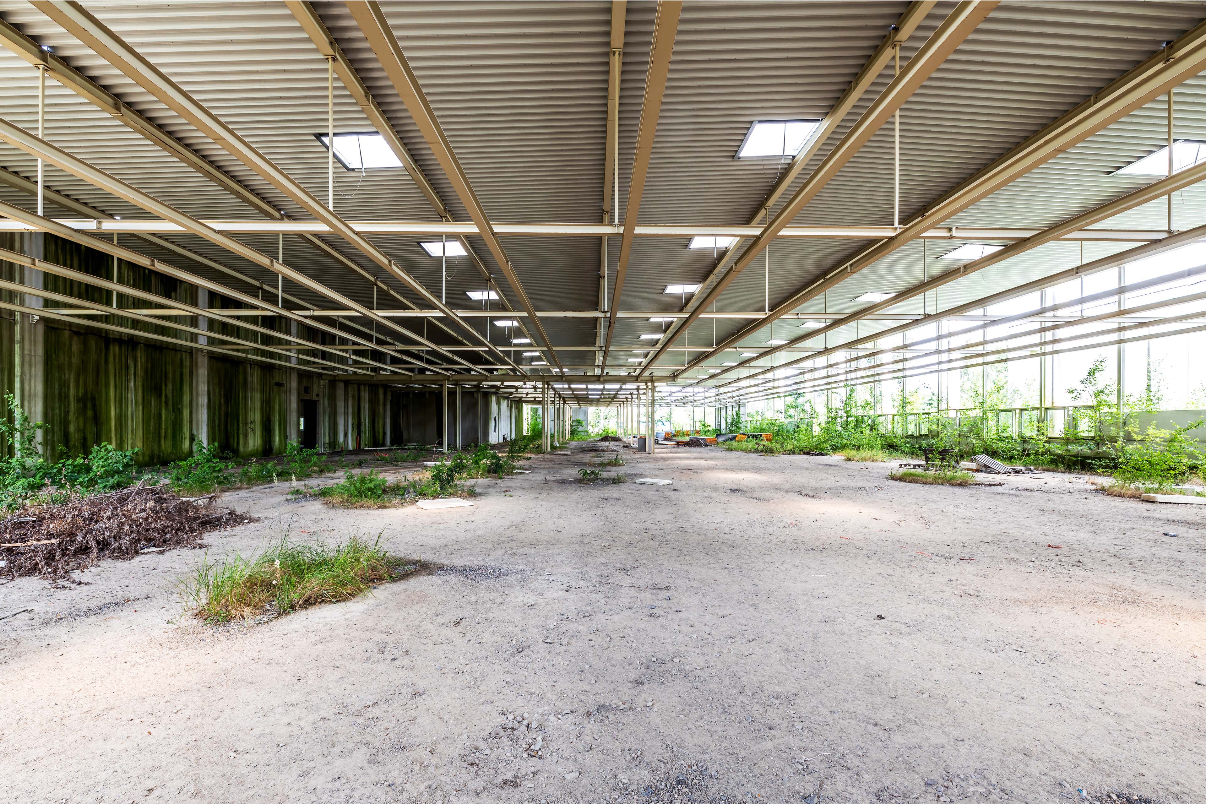 Welche Aufgaben ein Liquidator bei der Unternehmensauflösung erfüllen muss