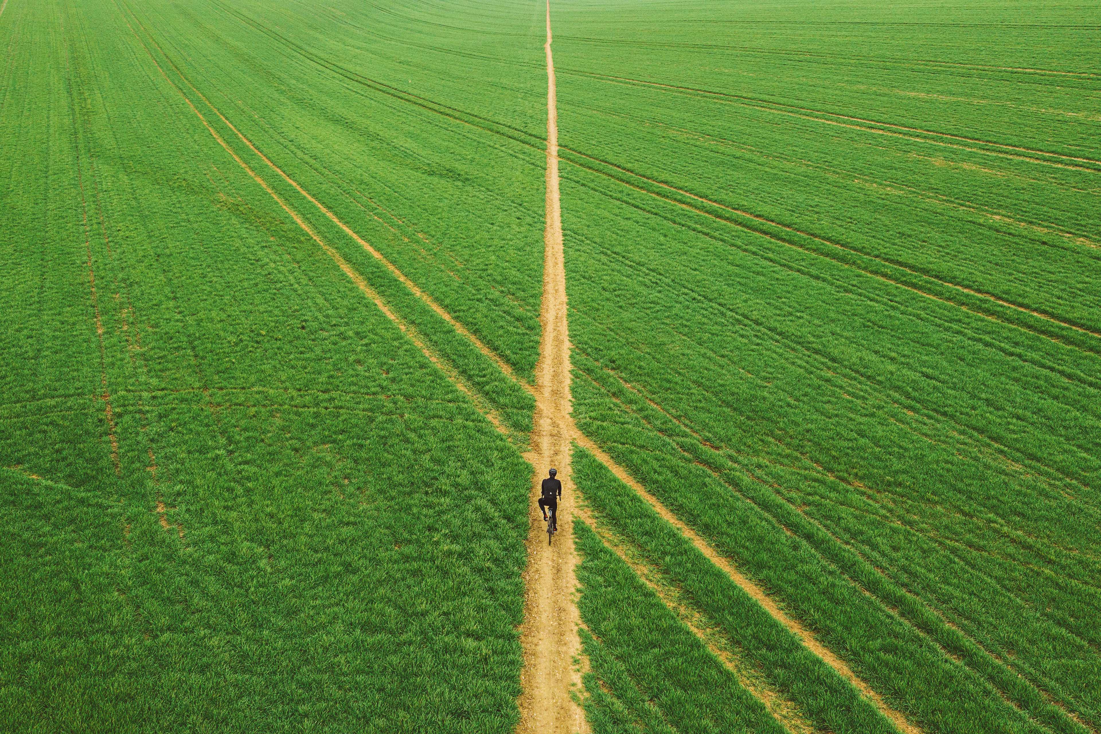 man walking on a trail of crop field