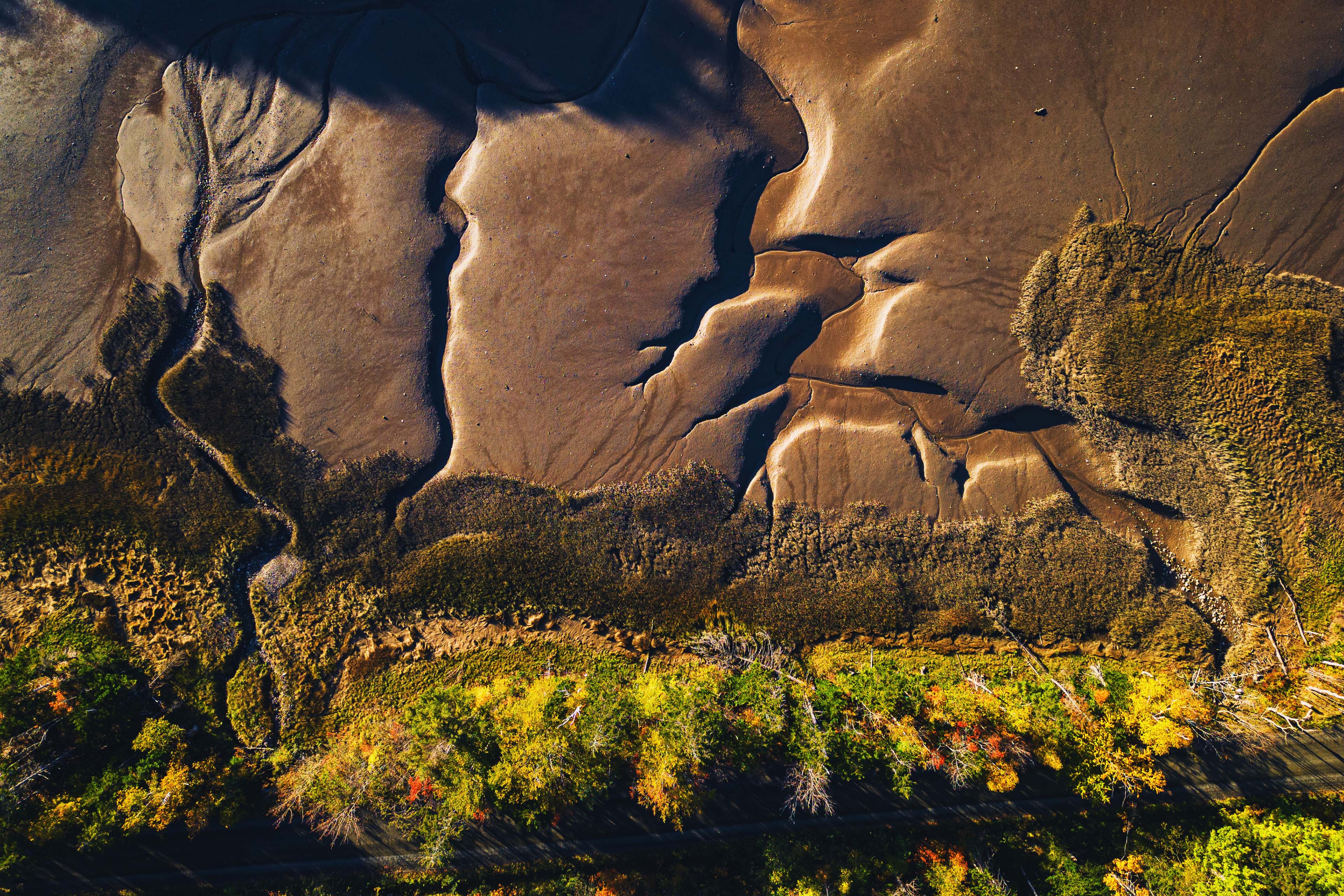 ey-autumn-low-tide-20-03-26