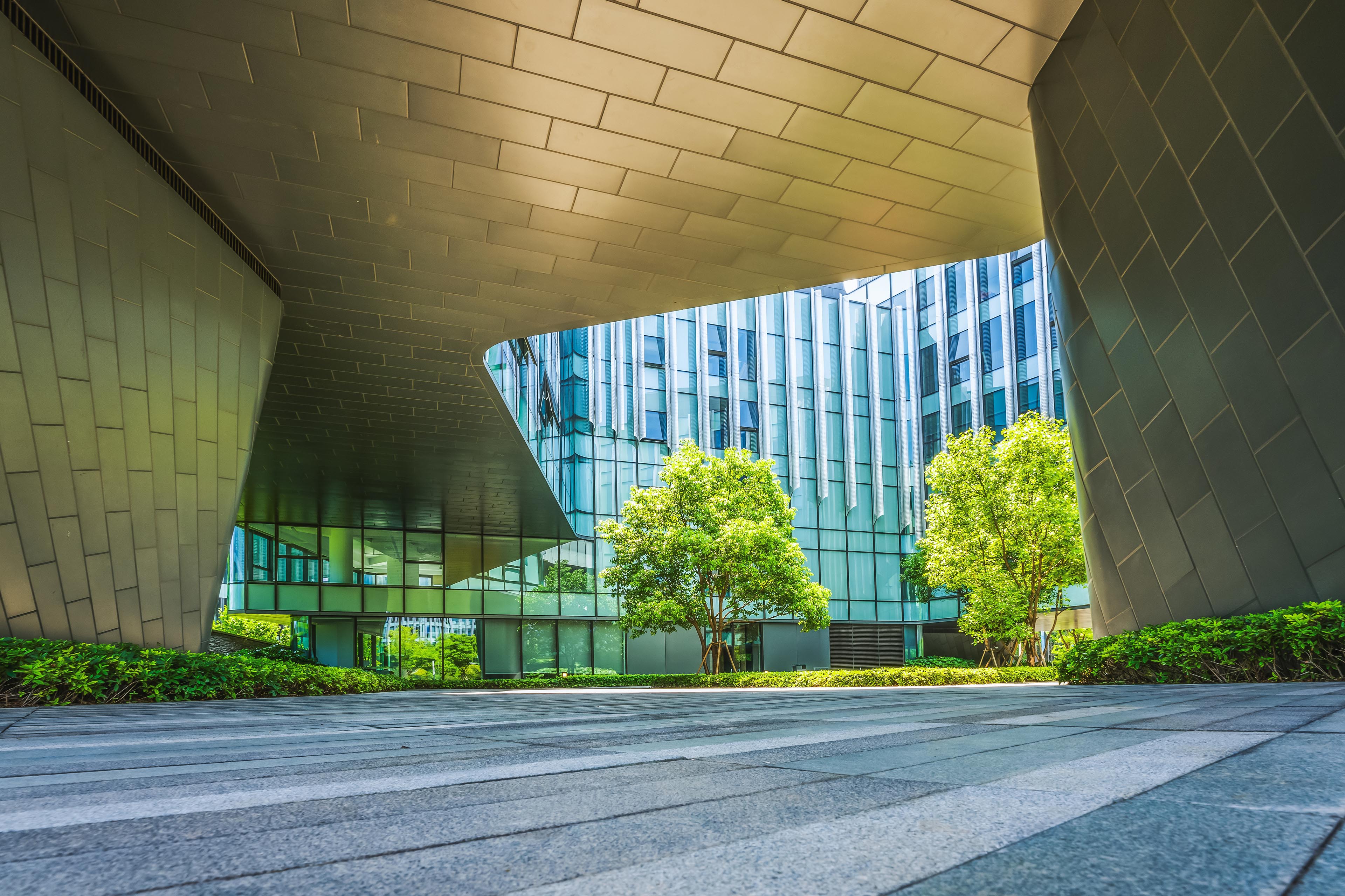 Modern green eco office building with tree outside