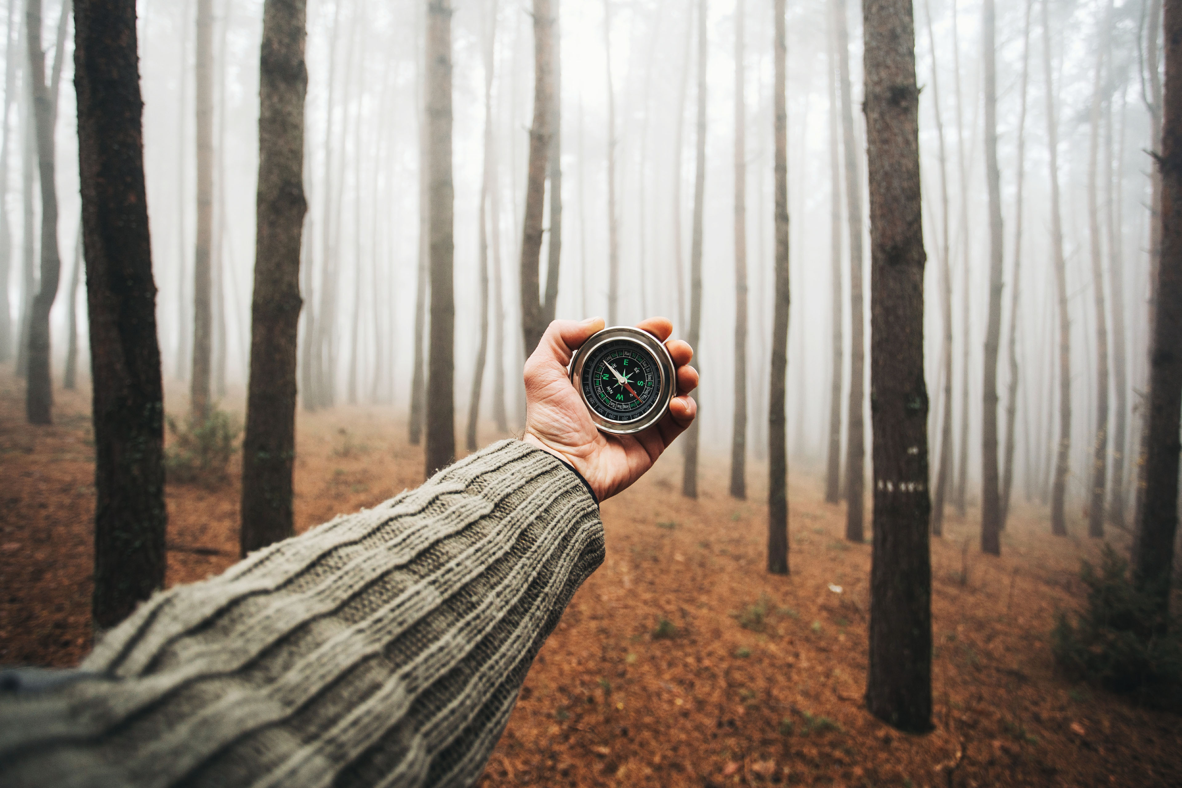 Hand holding a compass in a misty forest