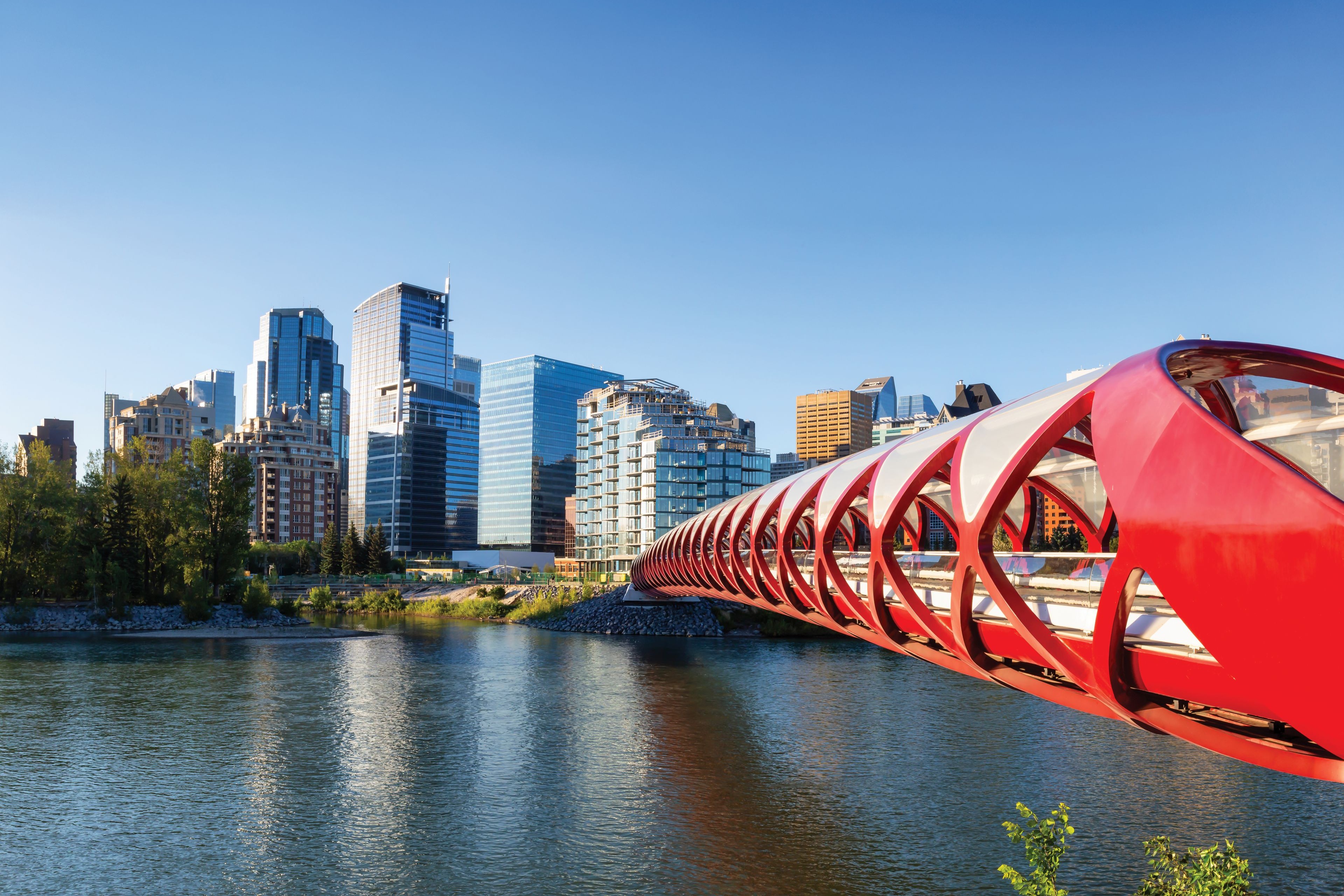 City Spotlight — Calgary | EY - Canada
