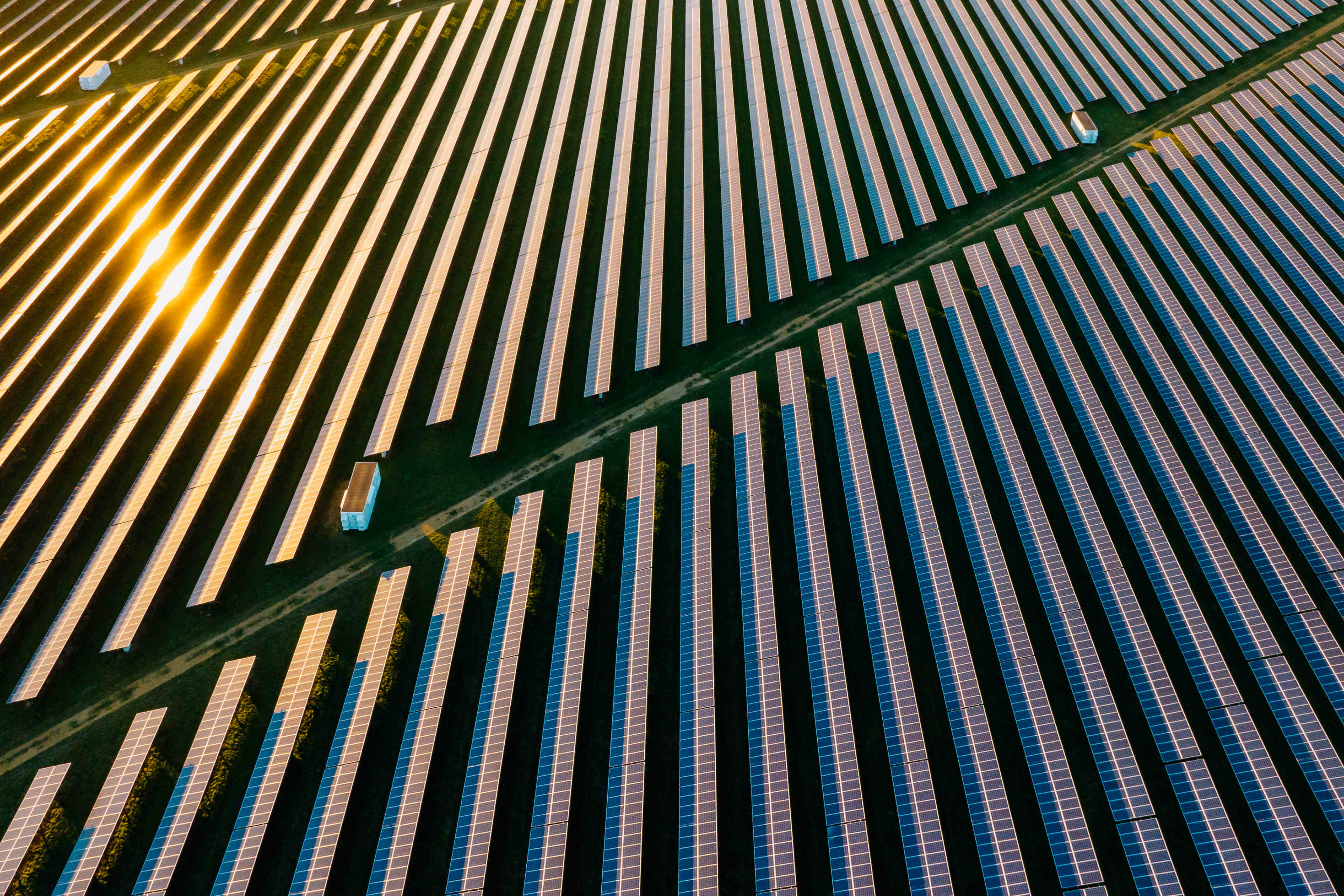 ceo-survey-transformation-and-sustainability | EY – Canada