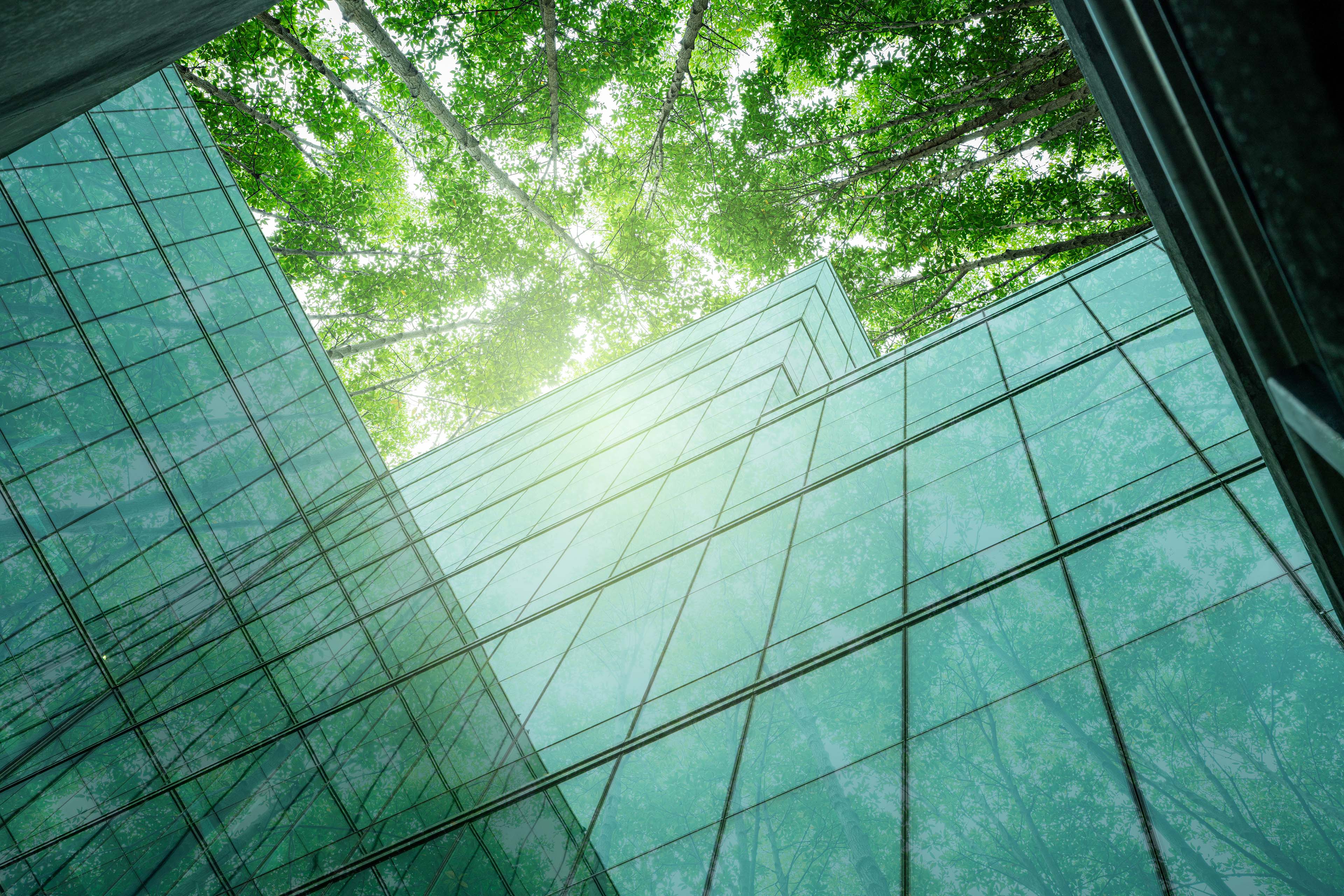 Sustainable glass office building with trees
