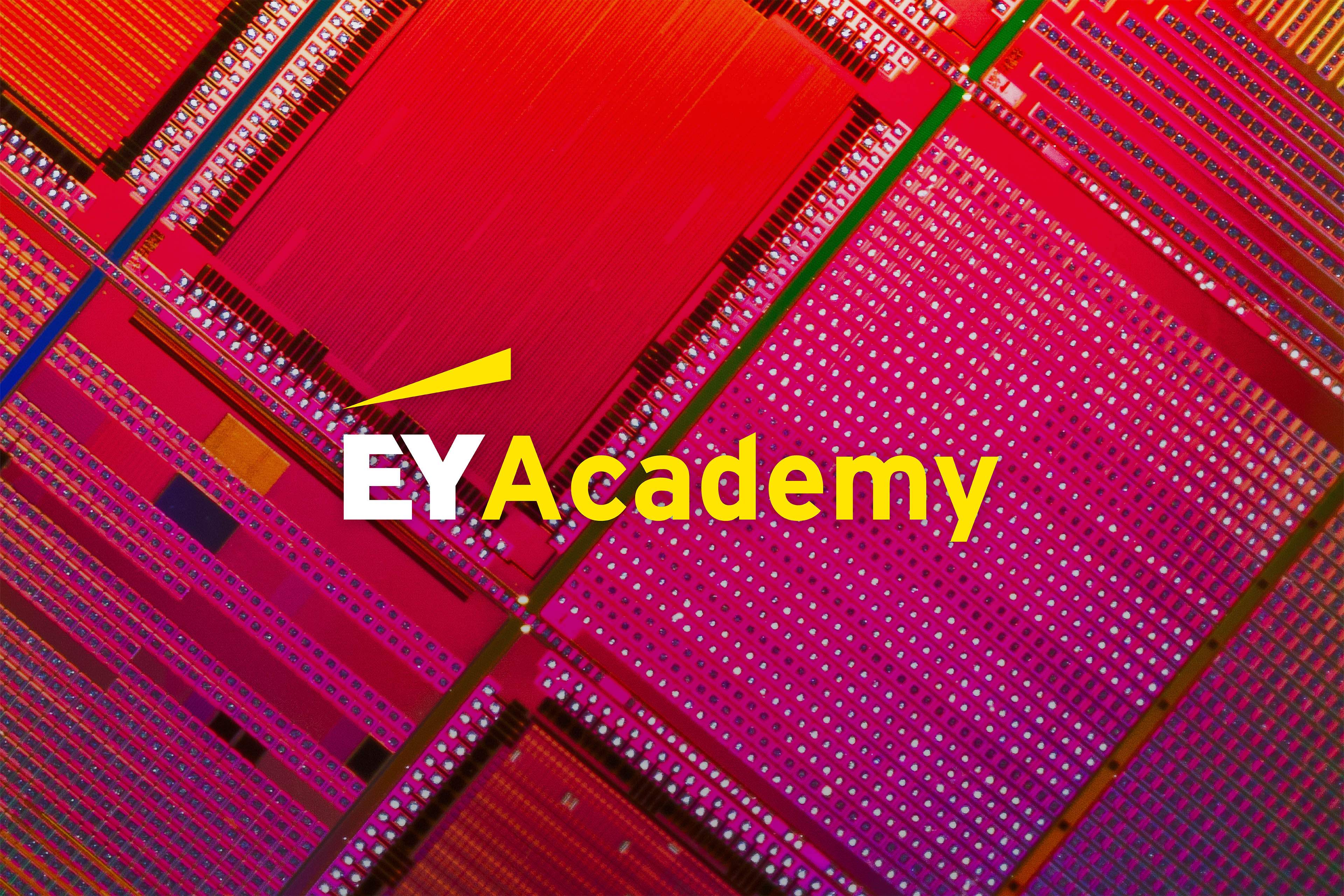 EY Academy | EY - Global