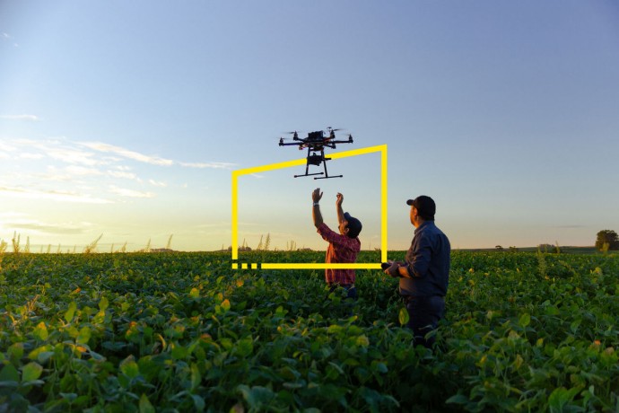 Farmers use a drone to check their crop in a field