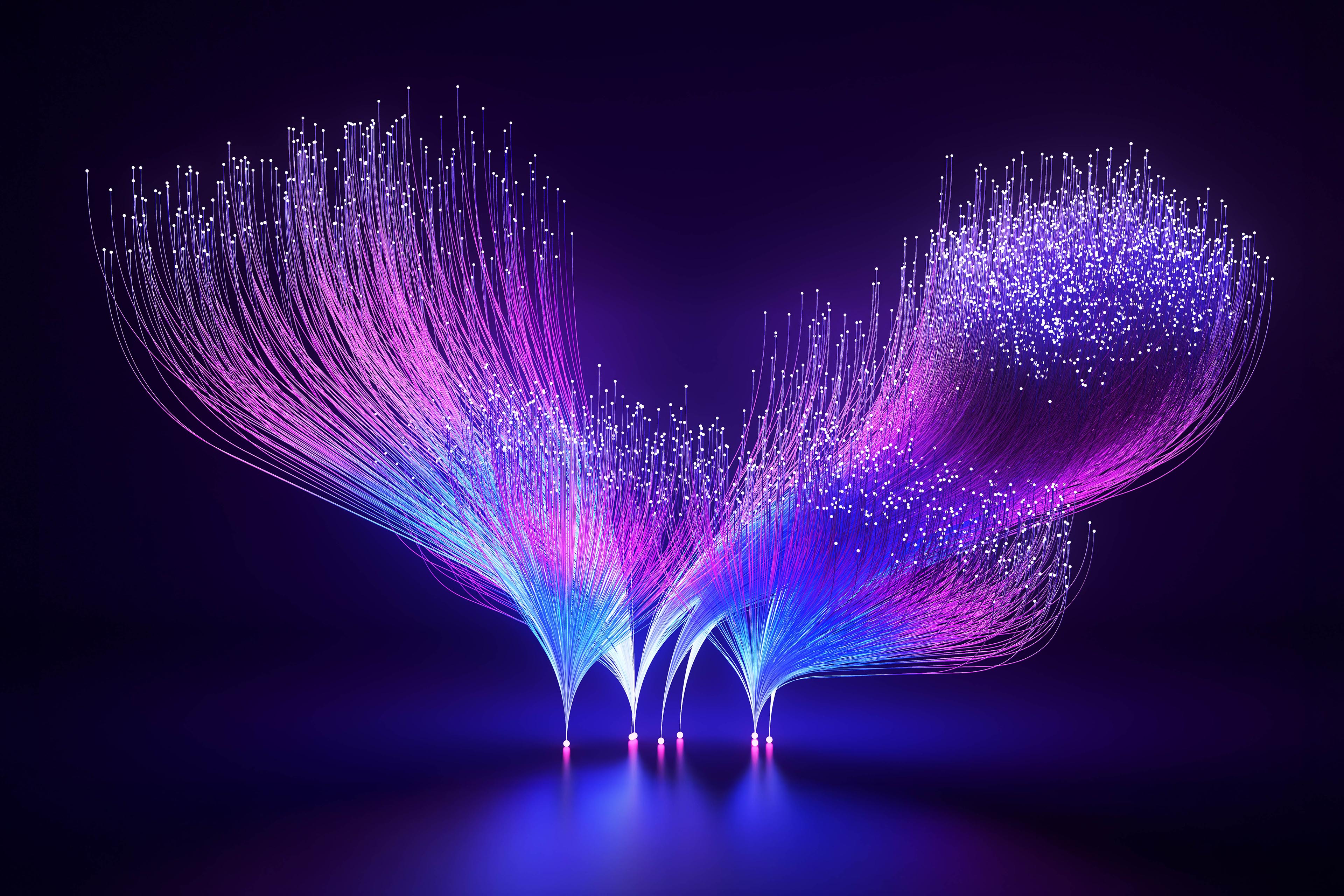 fiber optic cables transmitting data forming a data tree meta