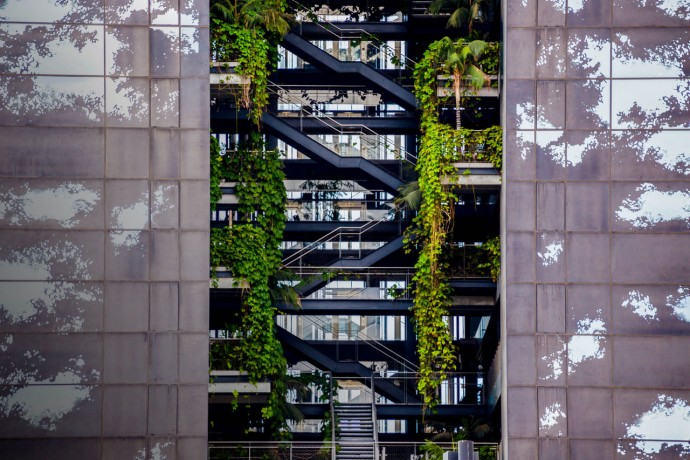 Building with levels and vegetation growing inside