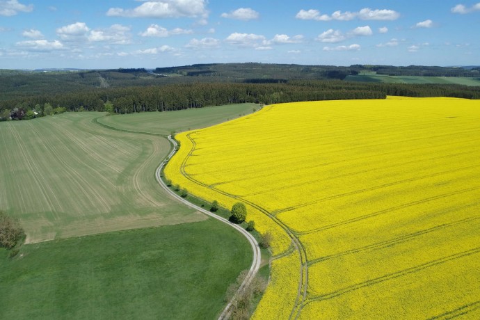 Aerial view of a rural landscape with oilseed rape field